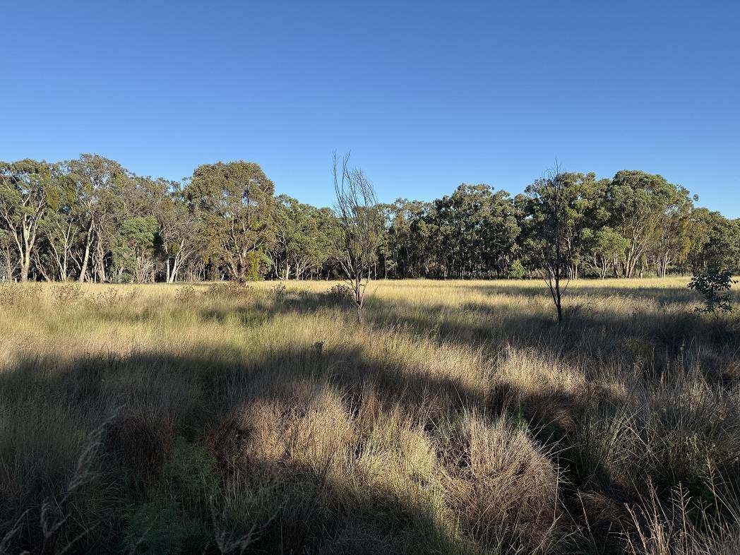 593 Goldfields Road, Stanthorpe For Sale by Farmbuy.com - image 7