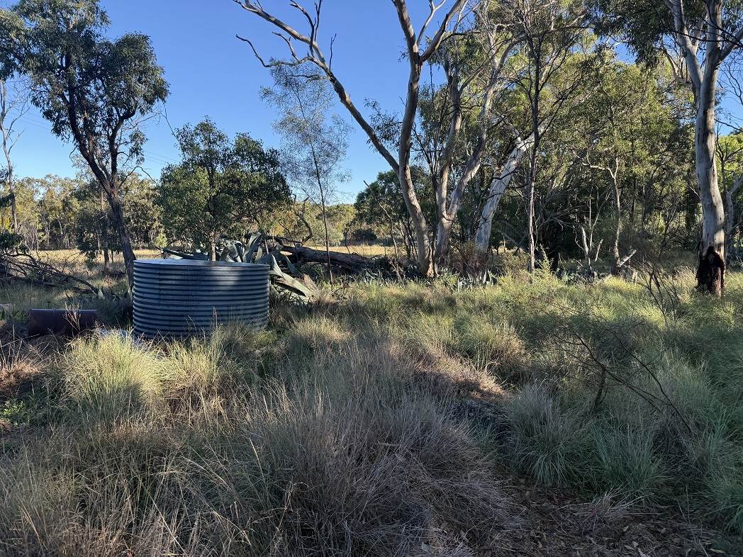 593 Goldfields Road, Stanthorpe For Sale by Farmbuy.com - image 5