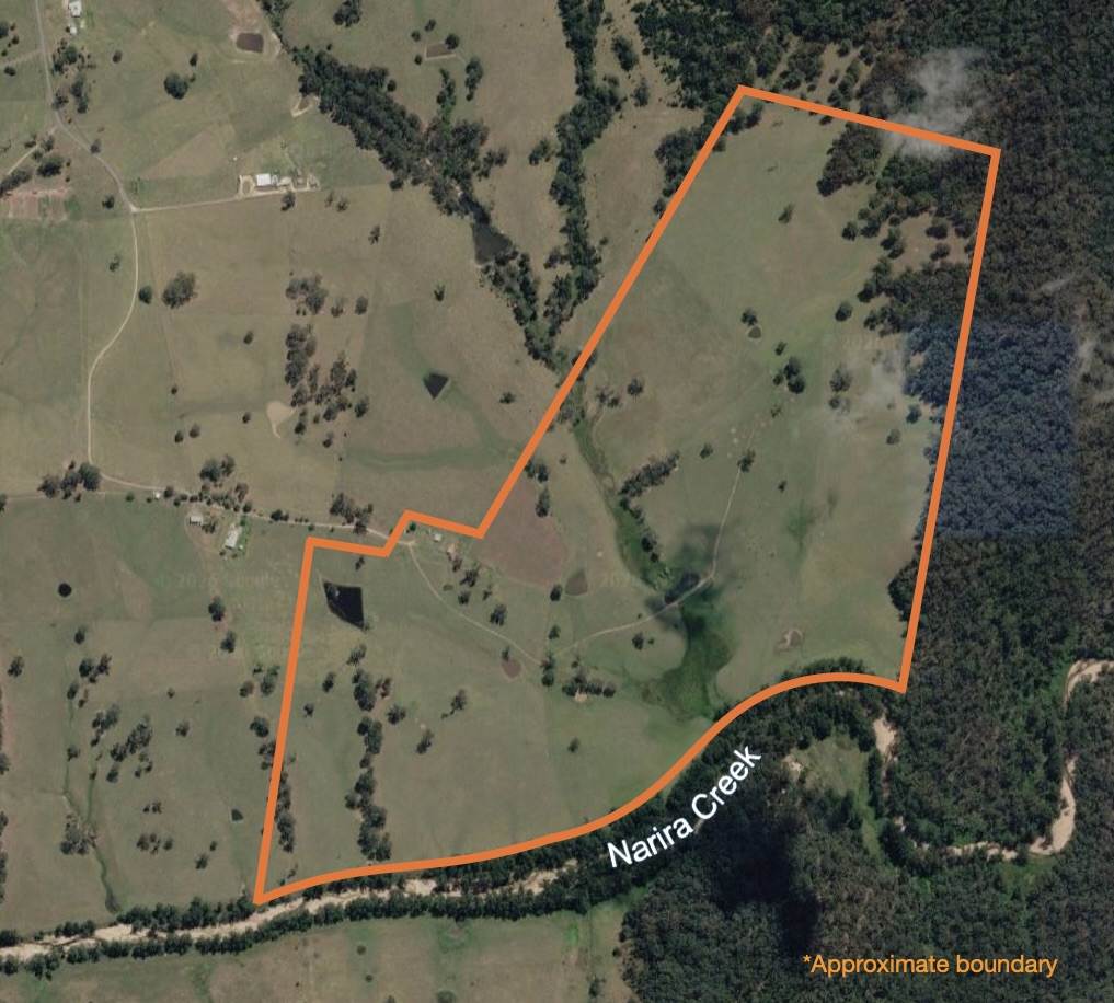 154 B Jersey Place, Cobargo For Sale by Farmbuy.com - image 18