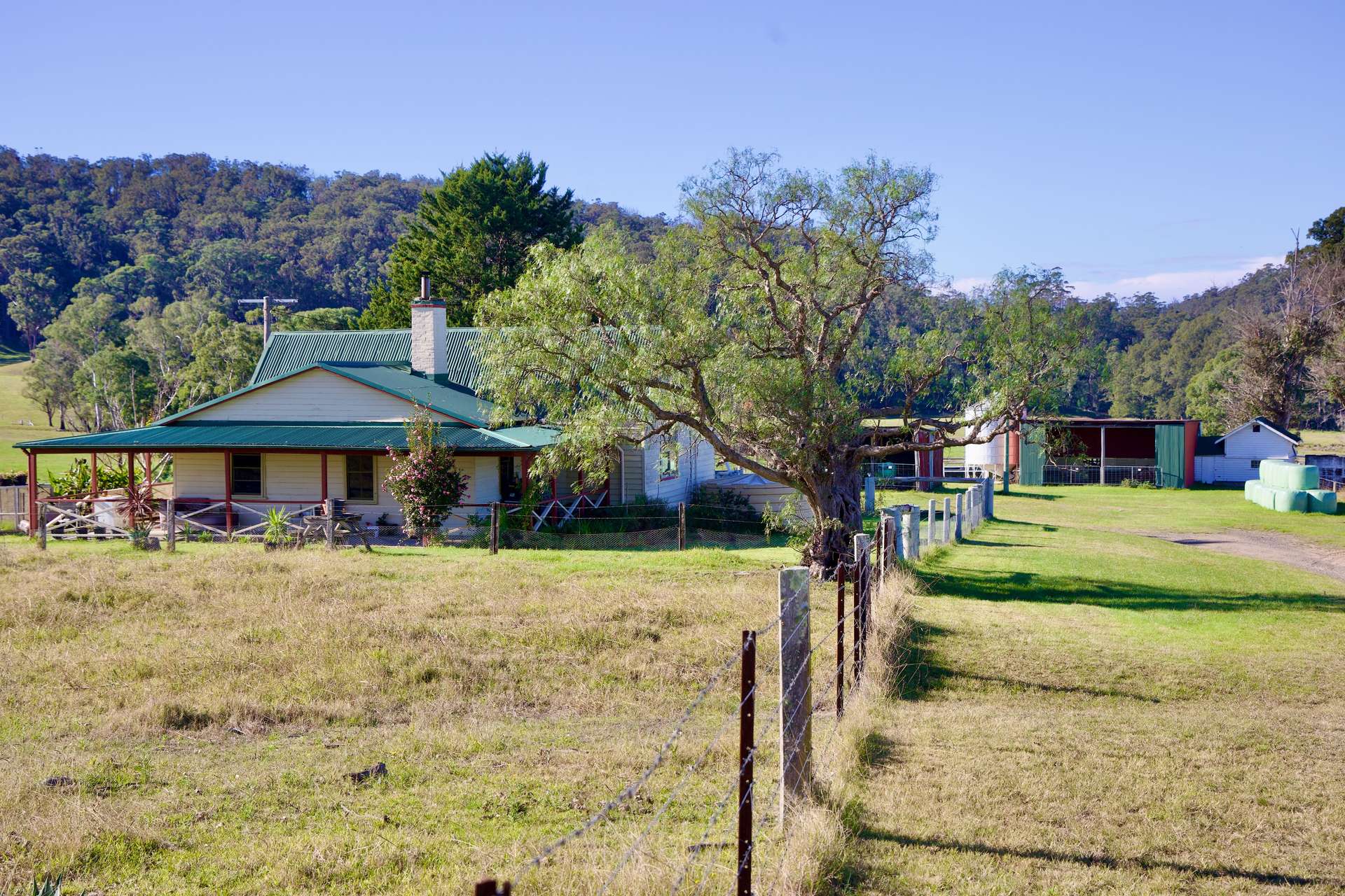 154 B Jersey Place, Cobargo For Sale by Farmbuy.com - image 2