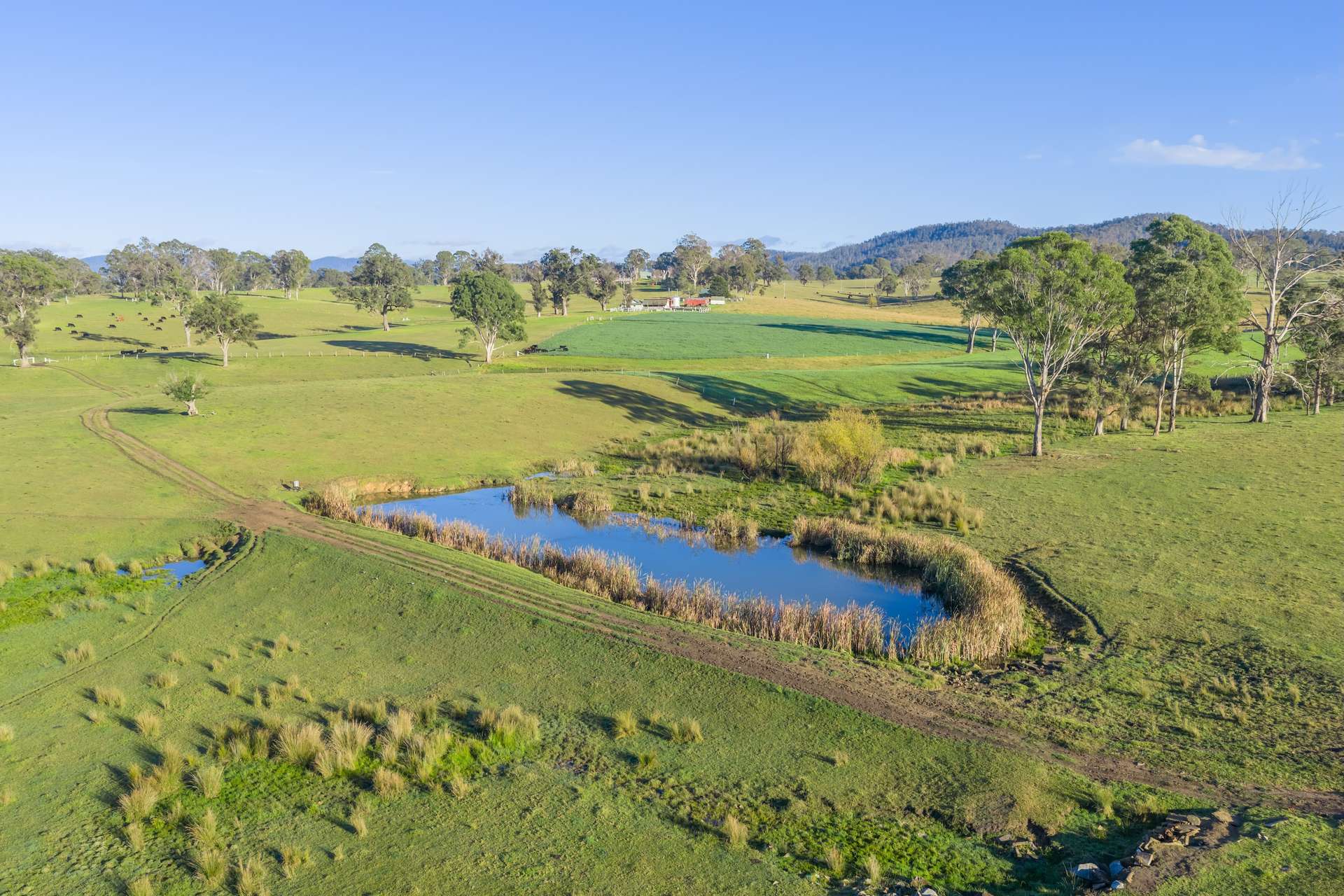 154 B Jersey Place, Cobargo For Sale by Farmbuy.com - image 13