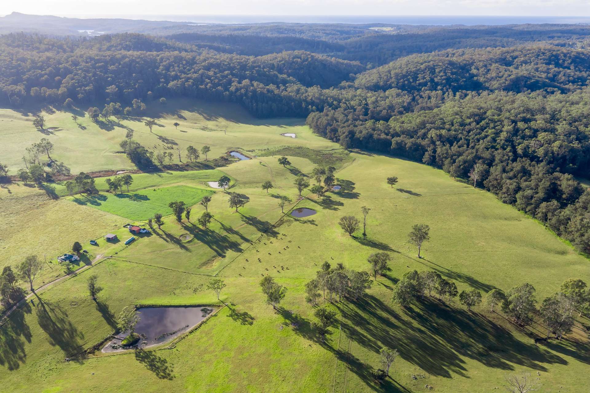 154 B Jersey Place, Cobargo For Sale by Farmbuy.com - image 3