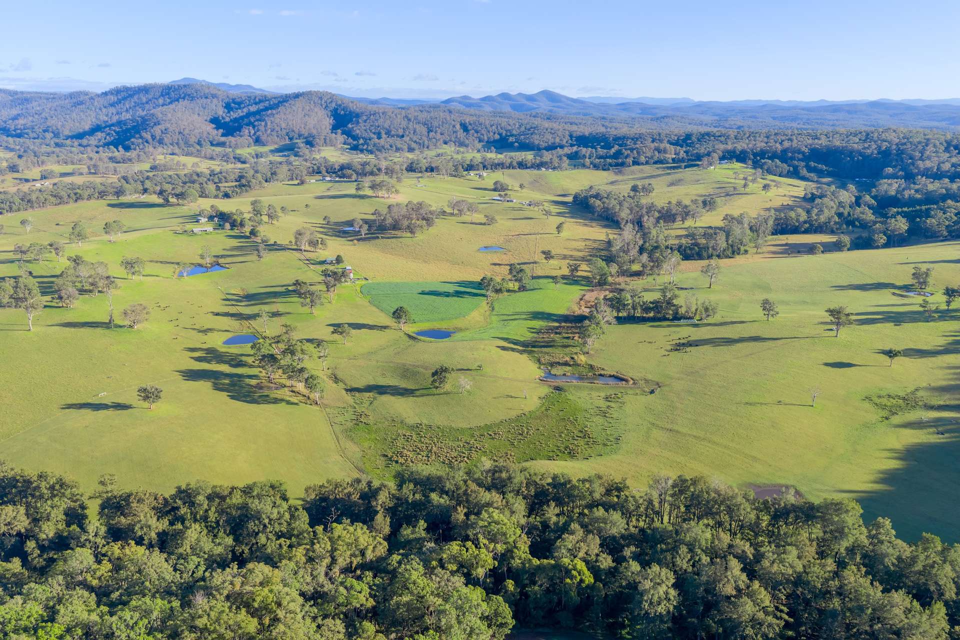 154 B Jersey Place, Cobargo For Sale by Farmbuy.com - image 12