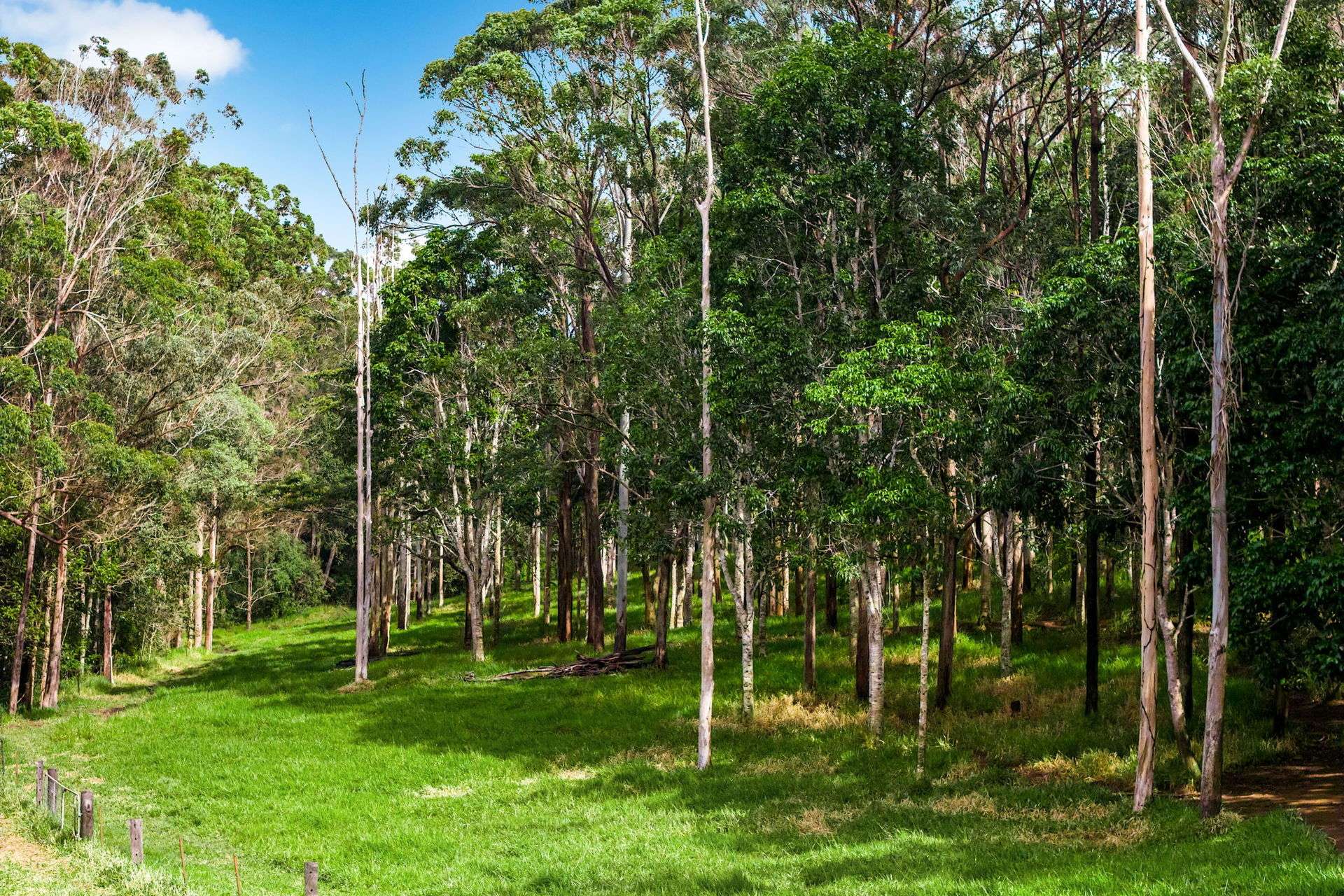 78 Fletcher Road, Yungaburra For Sale by Farmbuy.com - image 13