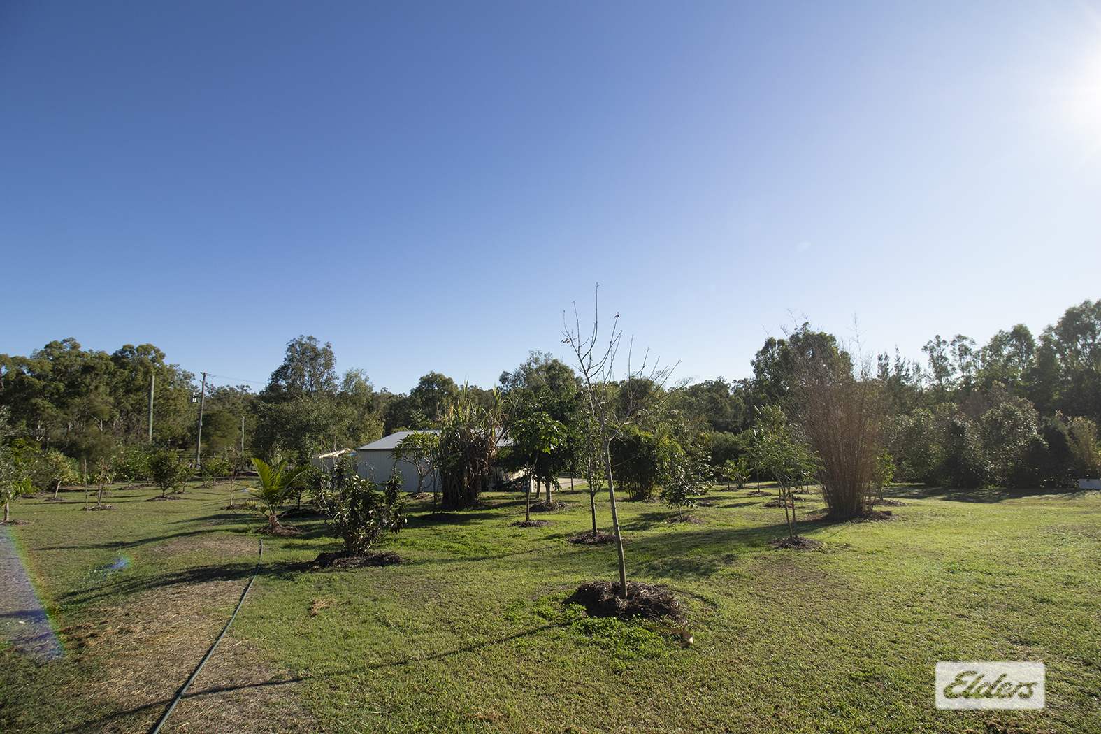 9 Brown Court, Laidley Heights For Sale by Farmbuy.com - image 21