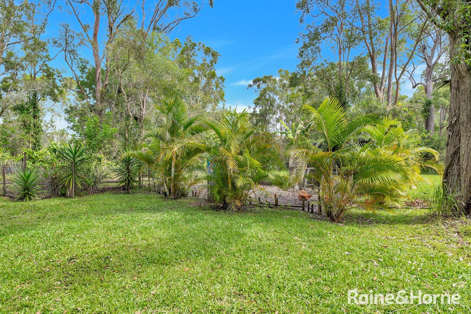 418 Brooms Head Road, Gulmarrad For Sale by Farmbuy.com - image 16