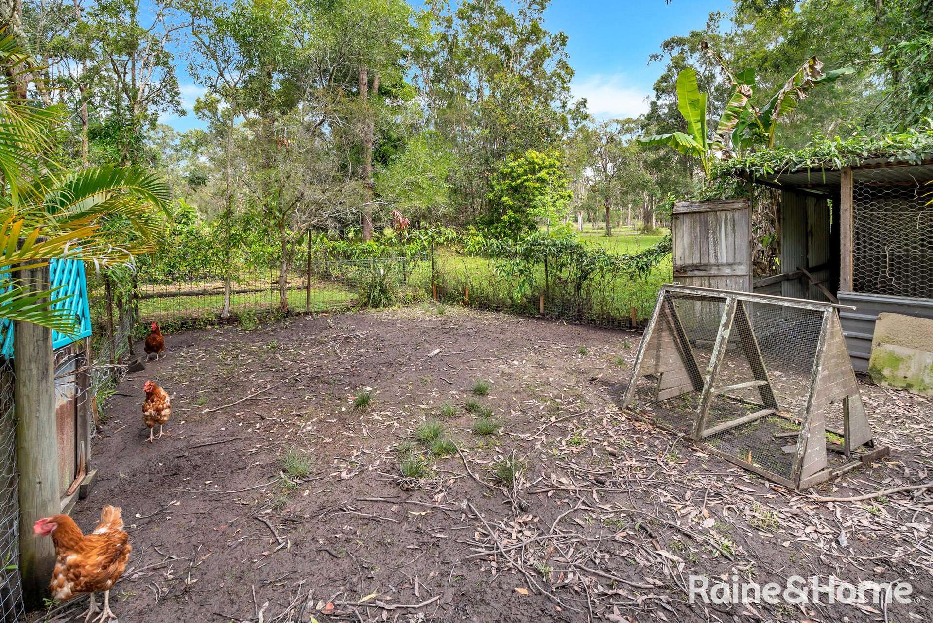 418 Brooms Head Road, Gulmarrad For Sale by Farmbuy.com - image 13