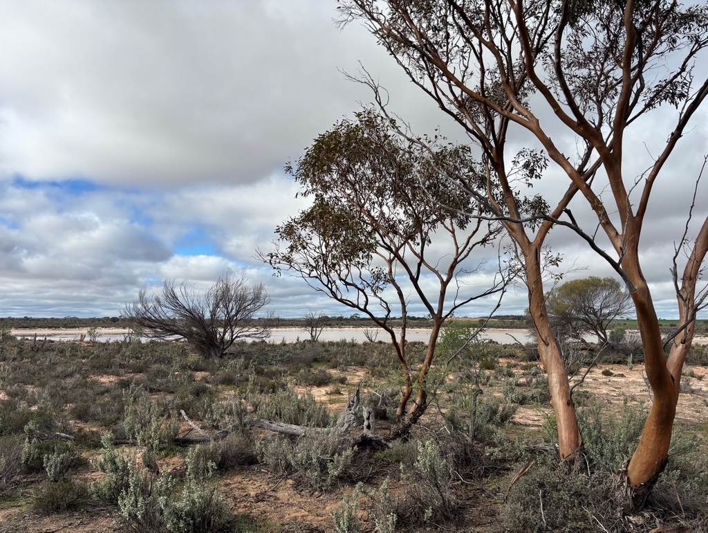 21 Goldfields Road &lpar;Baandee&rpar;, Kellerberrin WA 6410