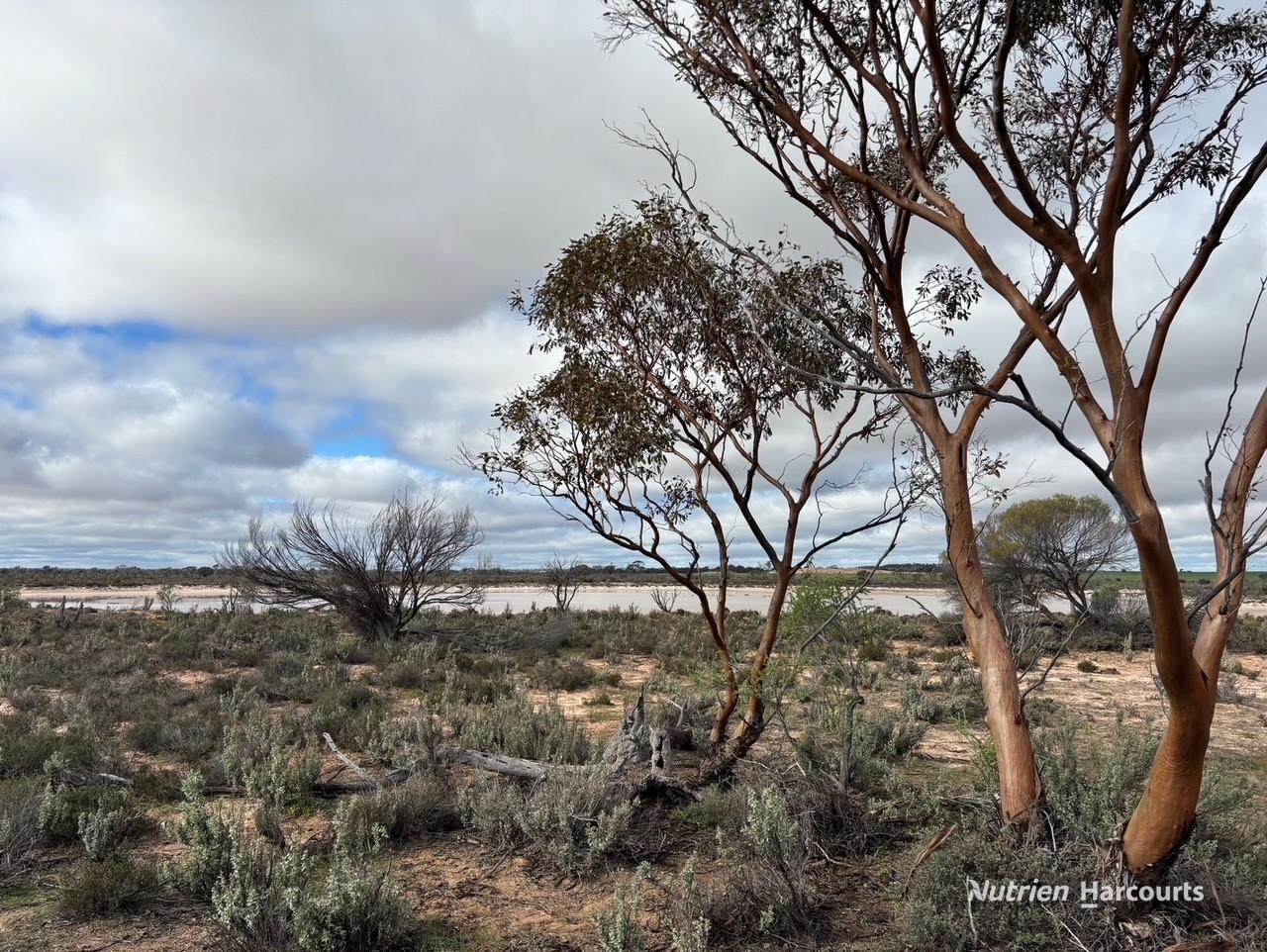 21 Goldfields Road (Baandee), Kellerberrin For Sale by Farmbuy.com - image 1