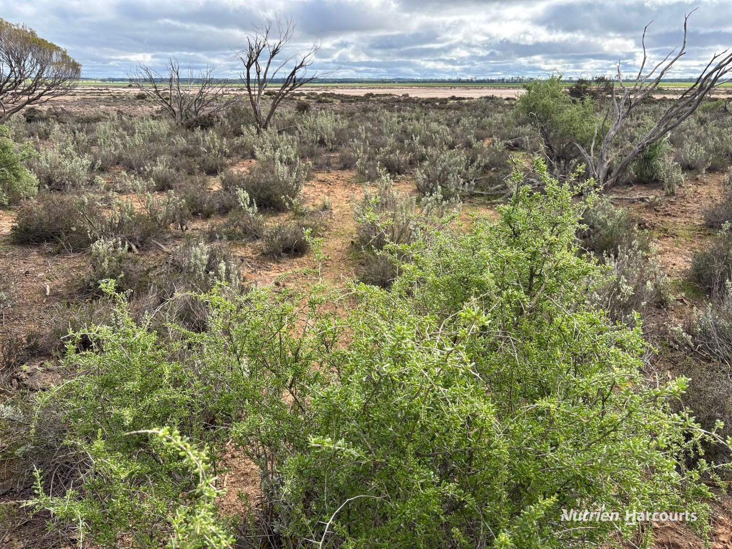 21 Goldfields Road (Baandee), Kellerberrin For Sale by Farmbuy.com - image 2