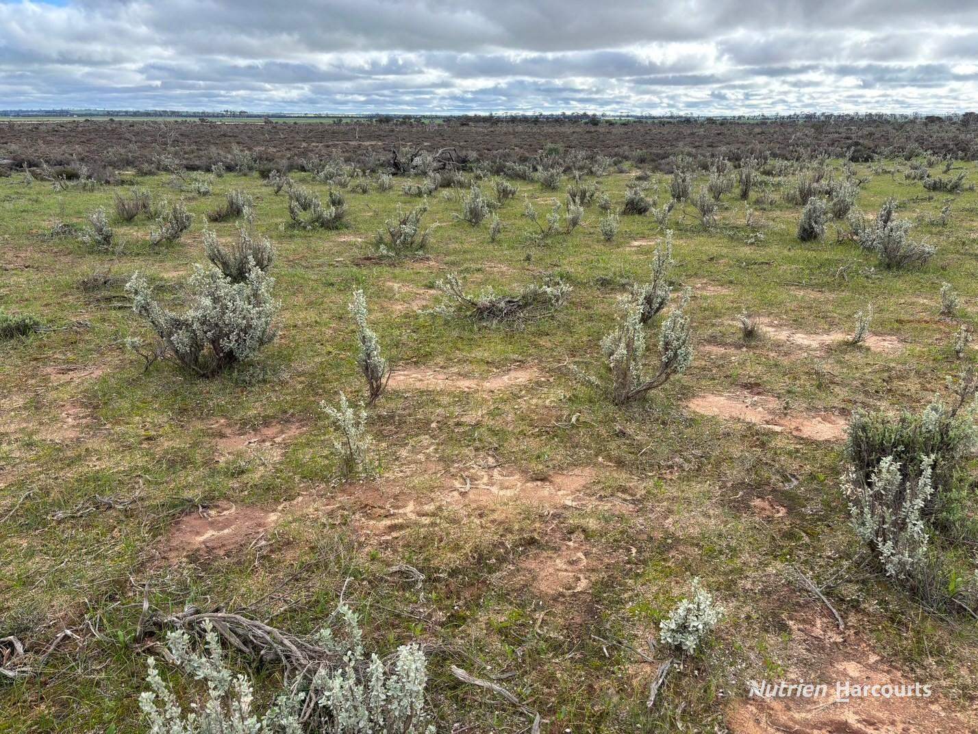 21 Goldfields Road (Baandee), Kellerberrin For Sale by Farmbuy.com - image 5