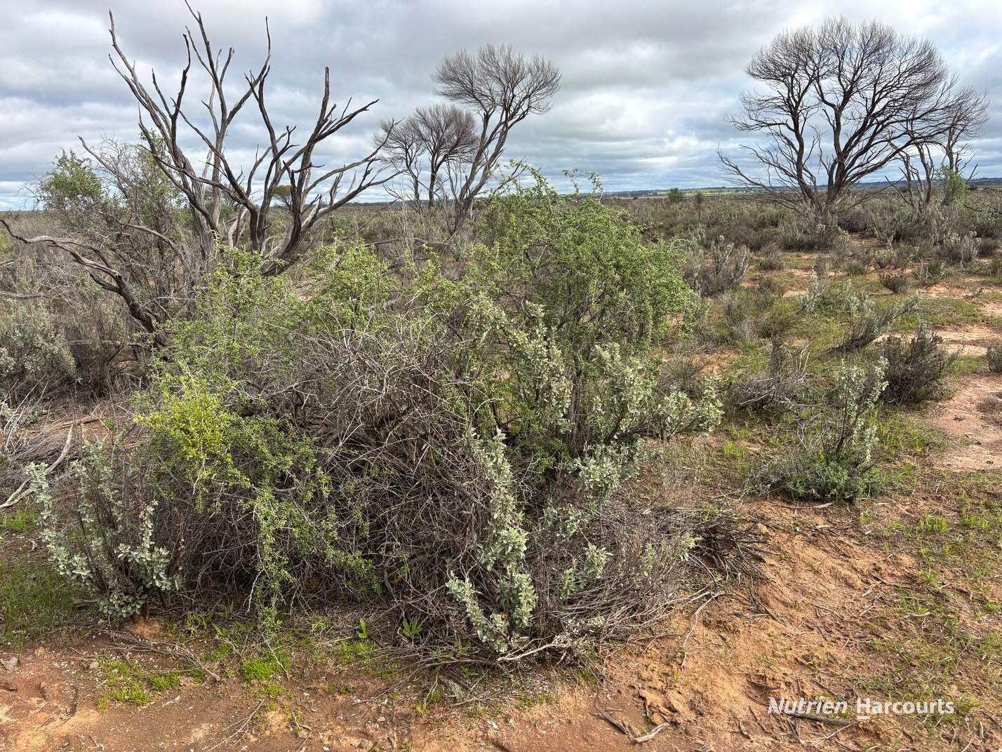 21 Goldfields Road (Baandee), Kellerberrin For Sale by Farmbuy.com - image 15