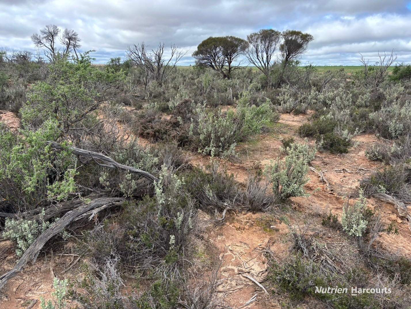 21 Goldfields Road (Baandee), Kellerberrin For Sale by Farmbuy.com - image 13