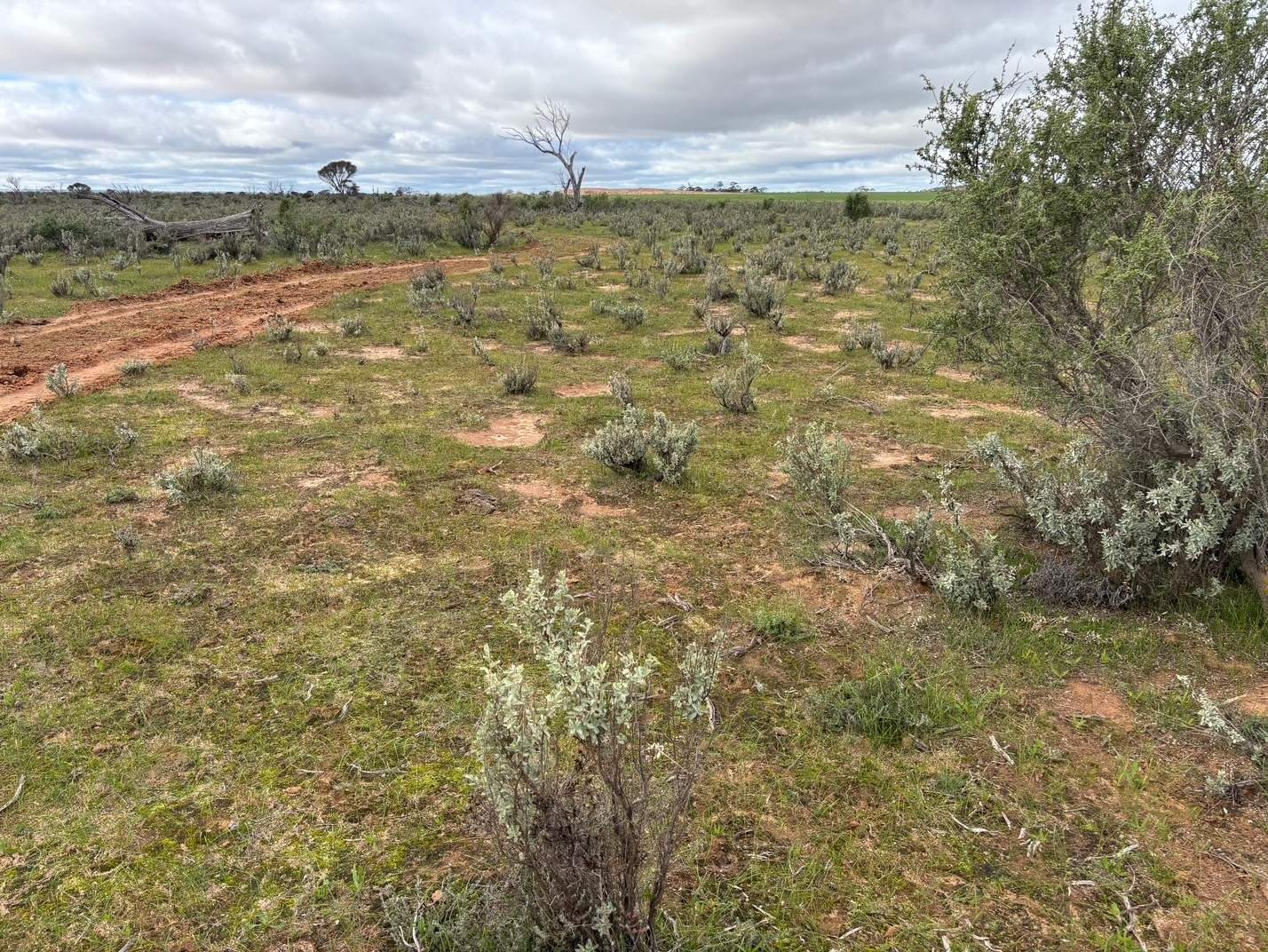 21 Goldfields Road (Baandee), Kellerberrin For Sale by Farmbuy.com - image 12