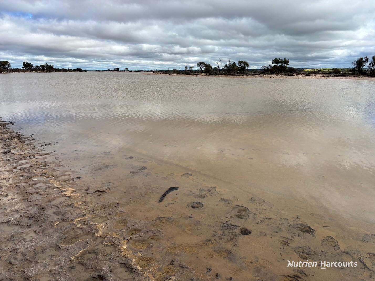 21 Goldfields Road (Baandee), Kellerberrin For Sale by Farmbuy.com - image 18