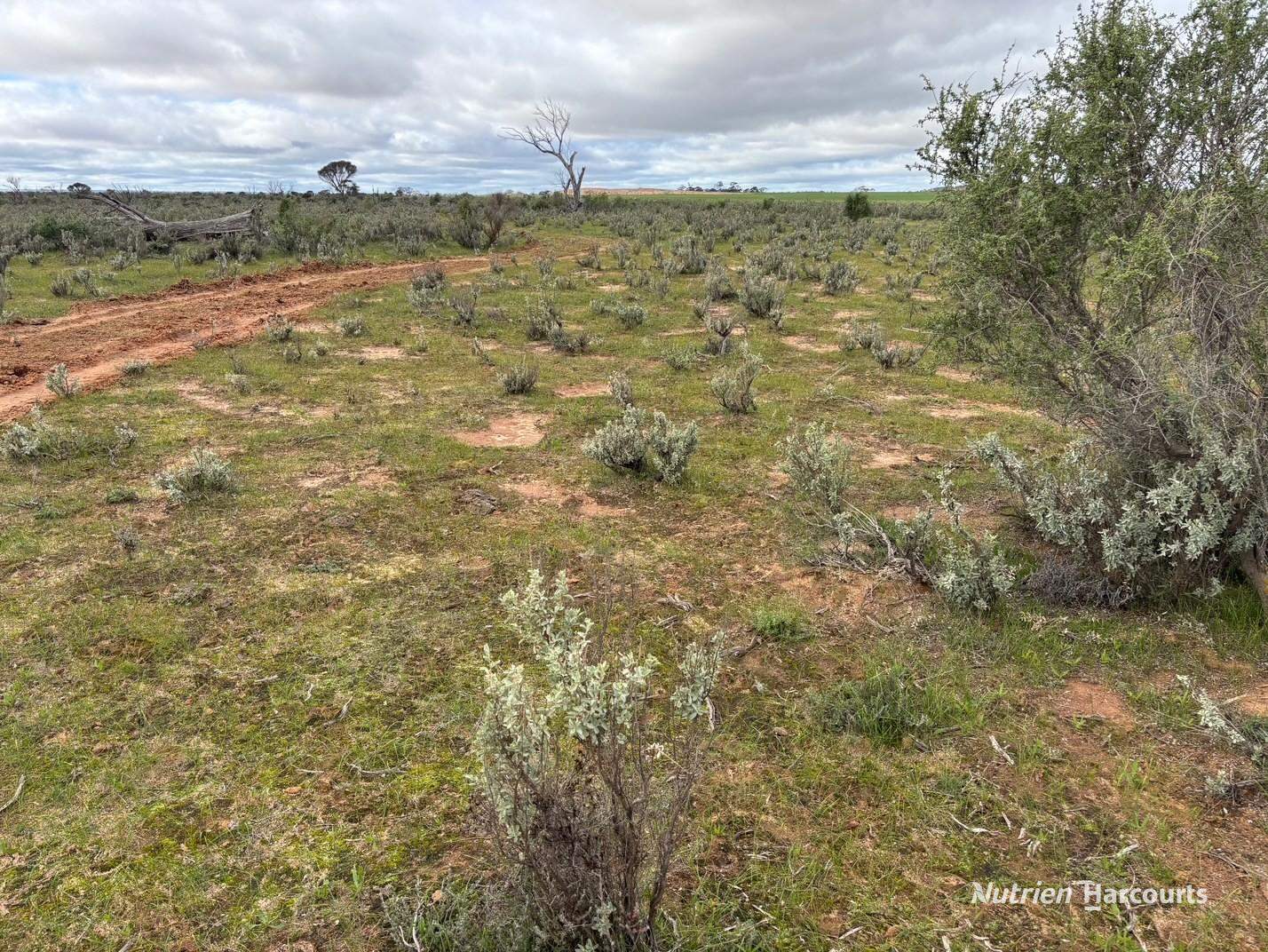 21 Goldfields Road (Baandee), Kellerberrin For Sale by Farmbuy.com - image 12