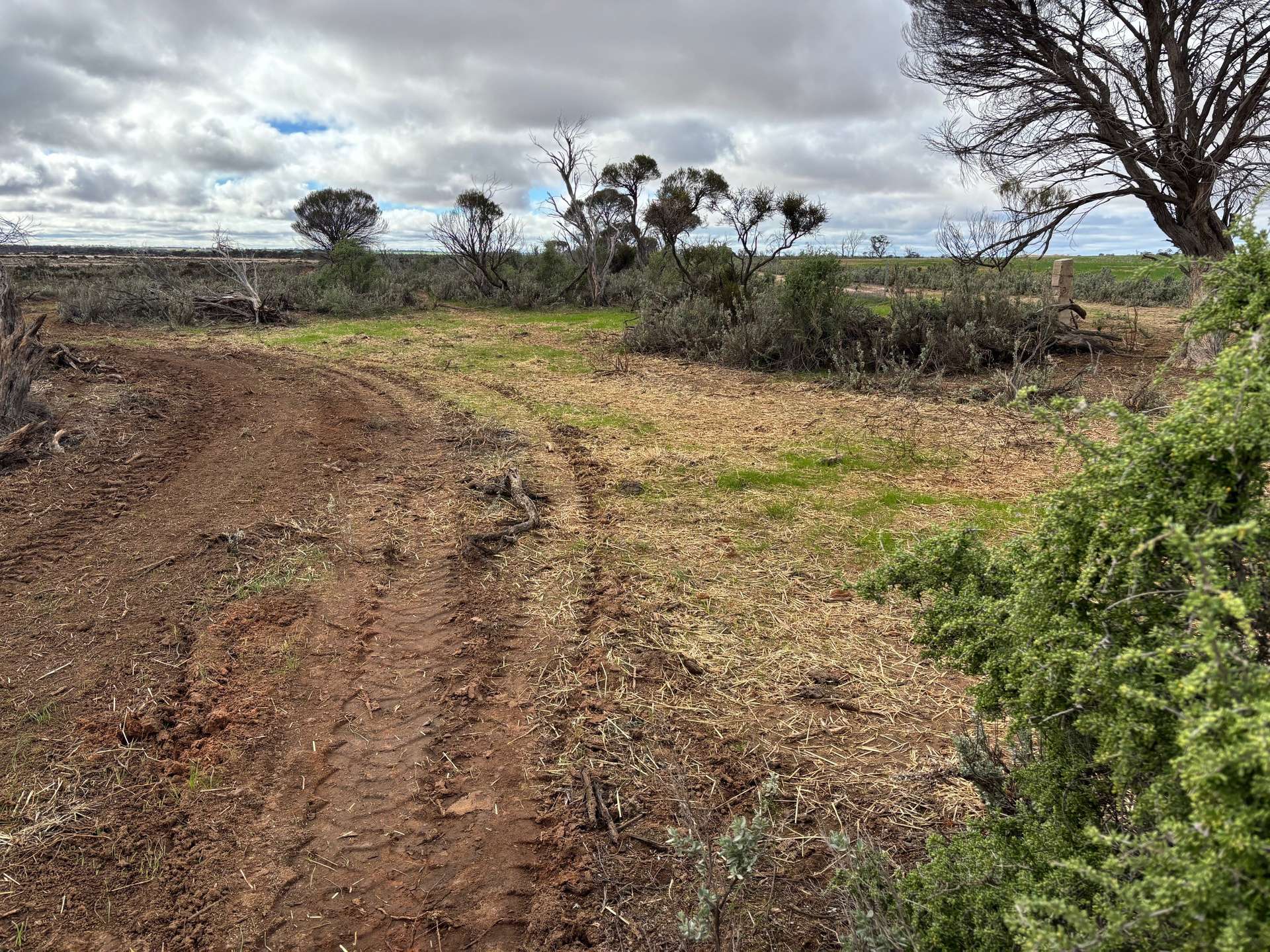 21 Goldfields Road (Baandee), Kellerberrin For Sale by Farmbuy.com - image 11