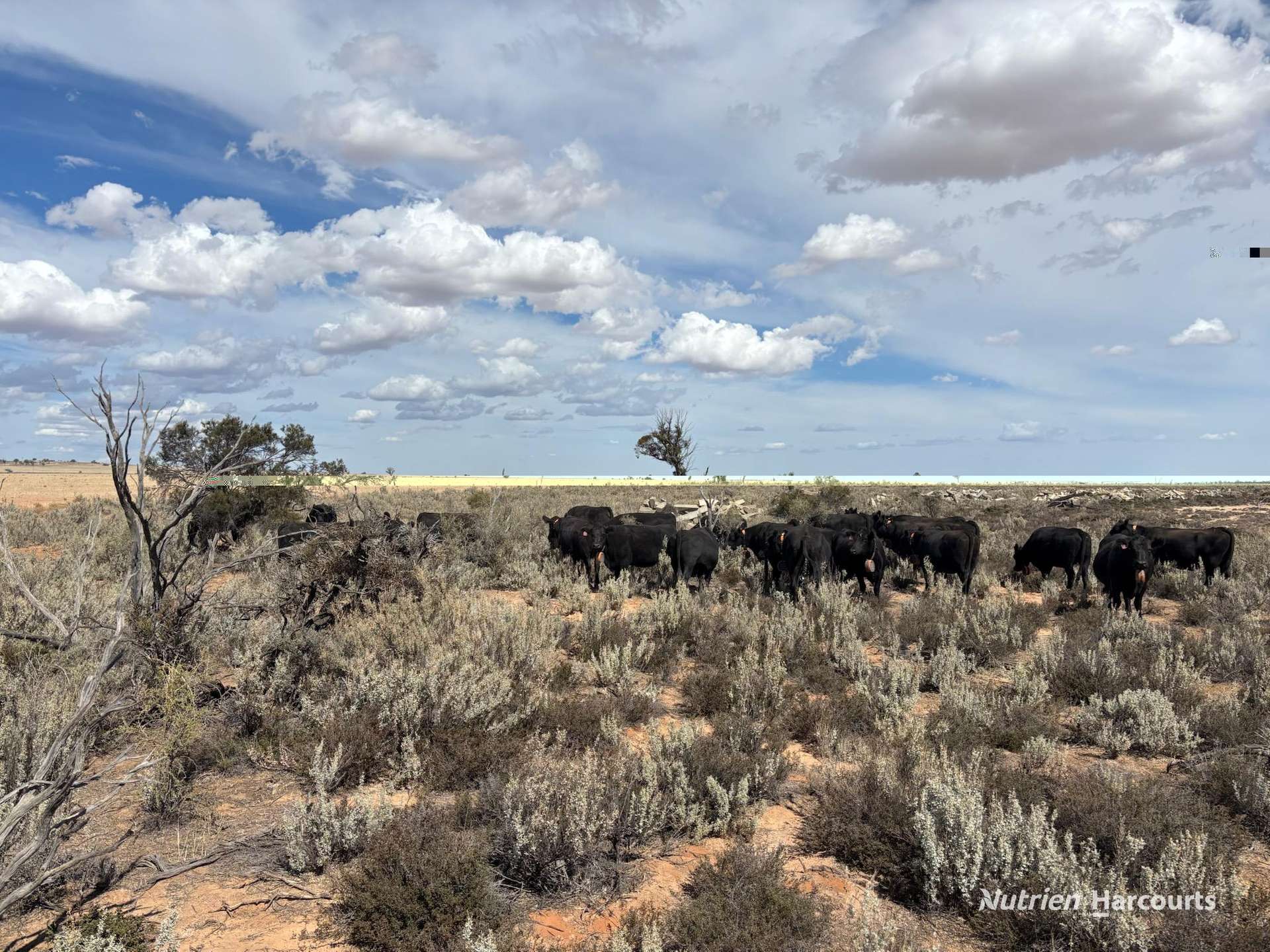21 Goldfields Road (Baandee), Kellerberrin For Sale by Farmbuy.com - image 3