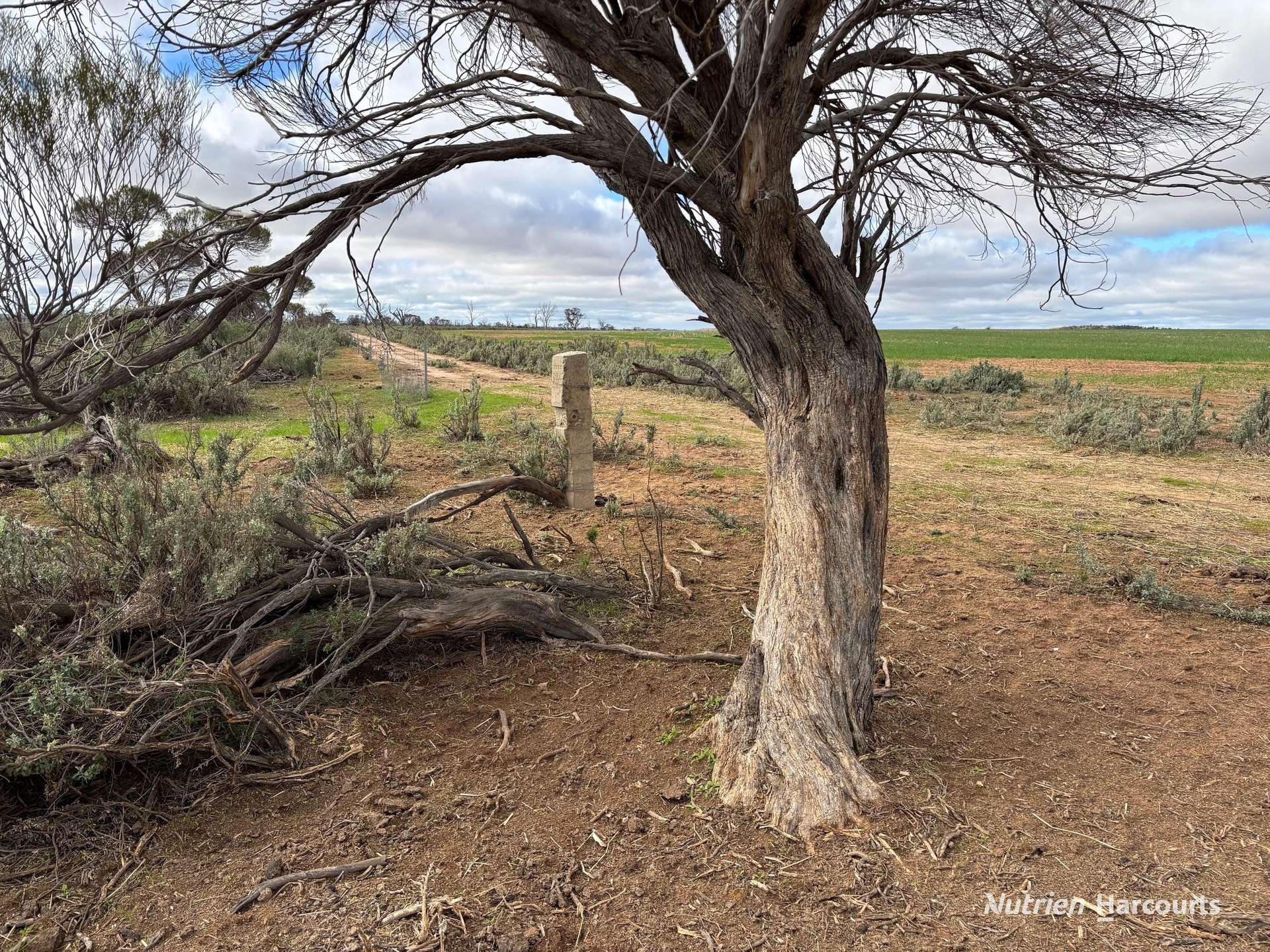 21 Goldfields Road (Baandee), Kellerberrin For Sale by Farmbuy.com - image 9