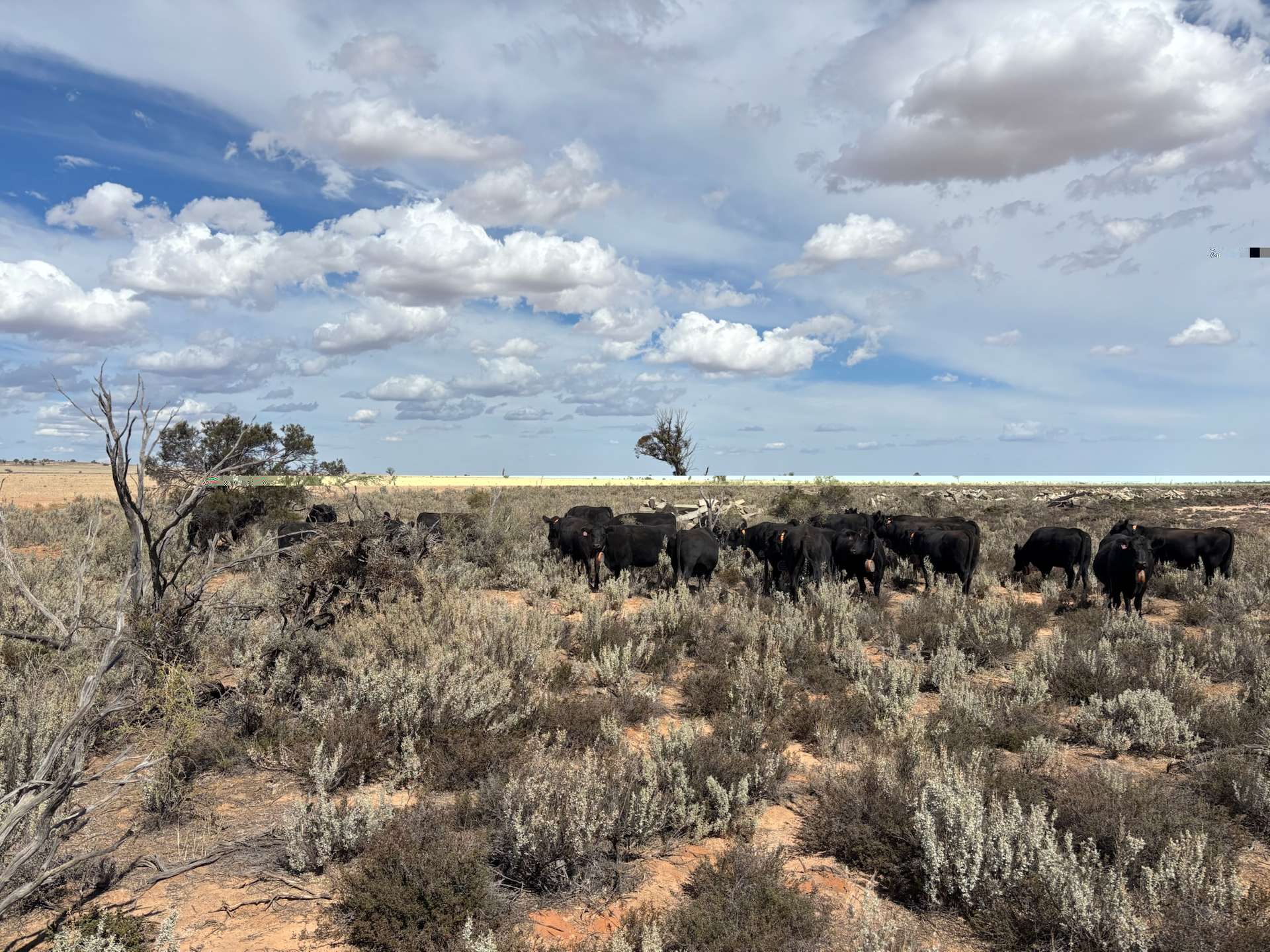 21 Goldfields Road (Baandee), Kellerberrin For Sale by Farmbuy.com - image 3