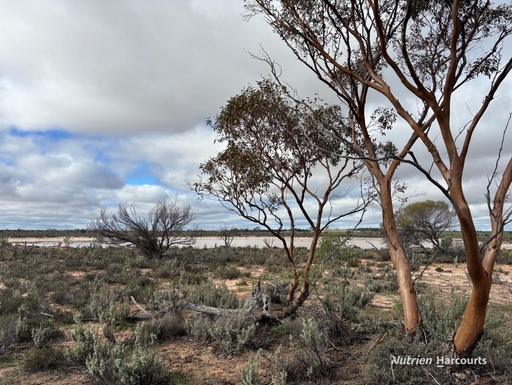 21 Goldfields Road (Baandee), Kellerberrin WA 6410