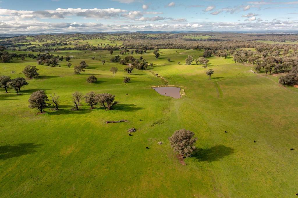 6096 Hume Highway, Kyeamba NSW 2650