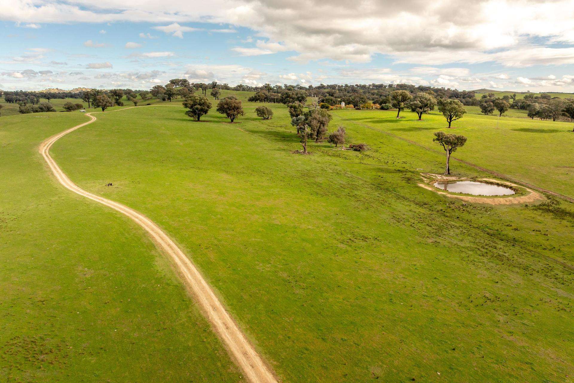 6096 Hume Highway, Kyeamba For Sale by Farmbuy.com - image 14