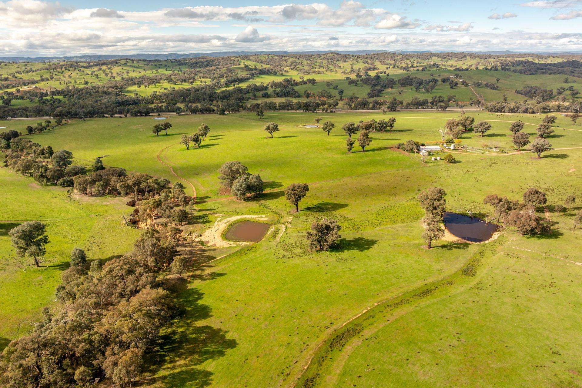 6096 Hume Highway, Kyeamba For Sale by Farmbuy.com - image 3