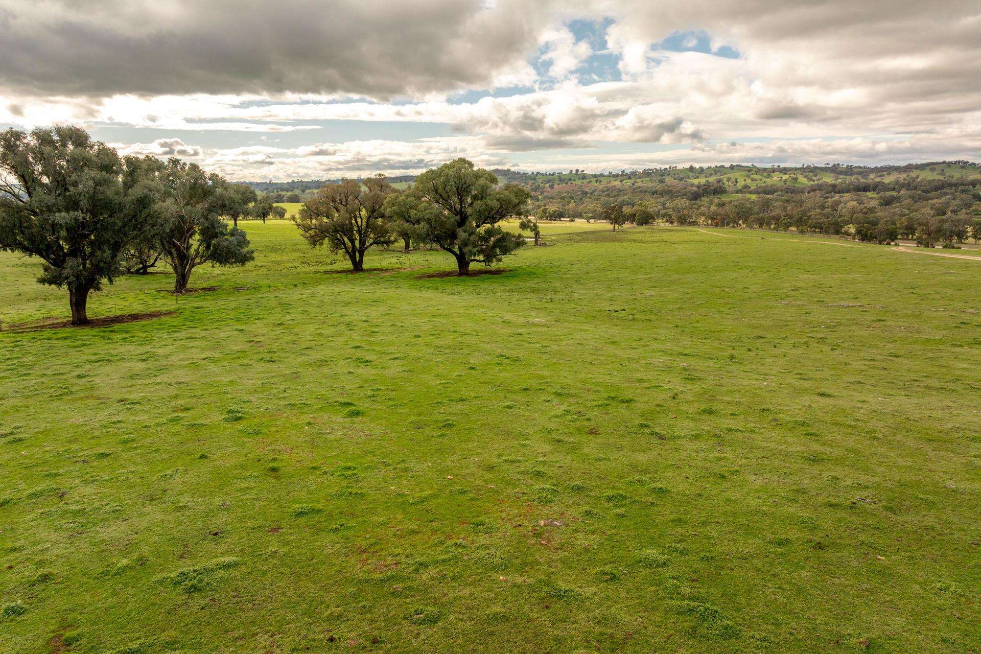 6096 Hume Highway, Kyeamba For Sale by Farmbuy.com - image 6