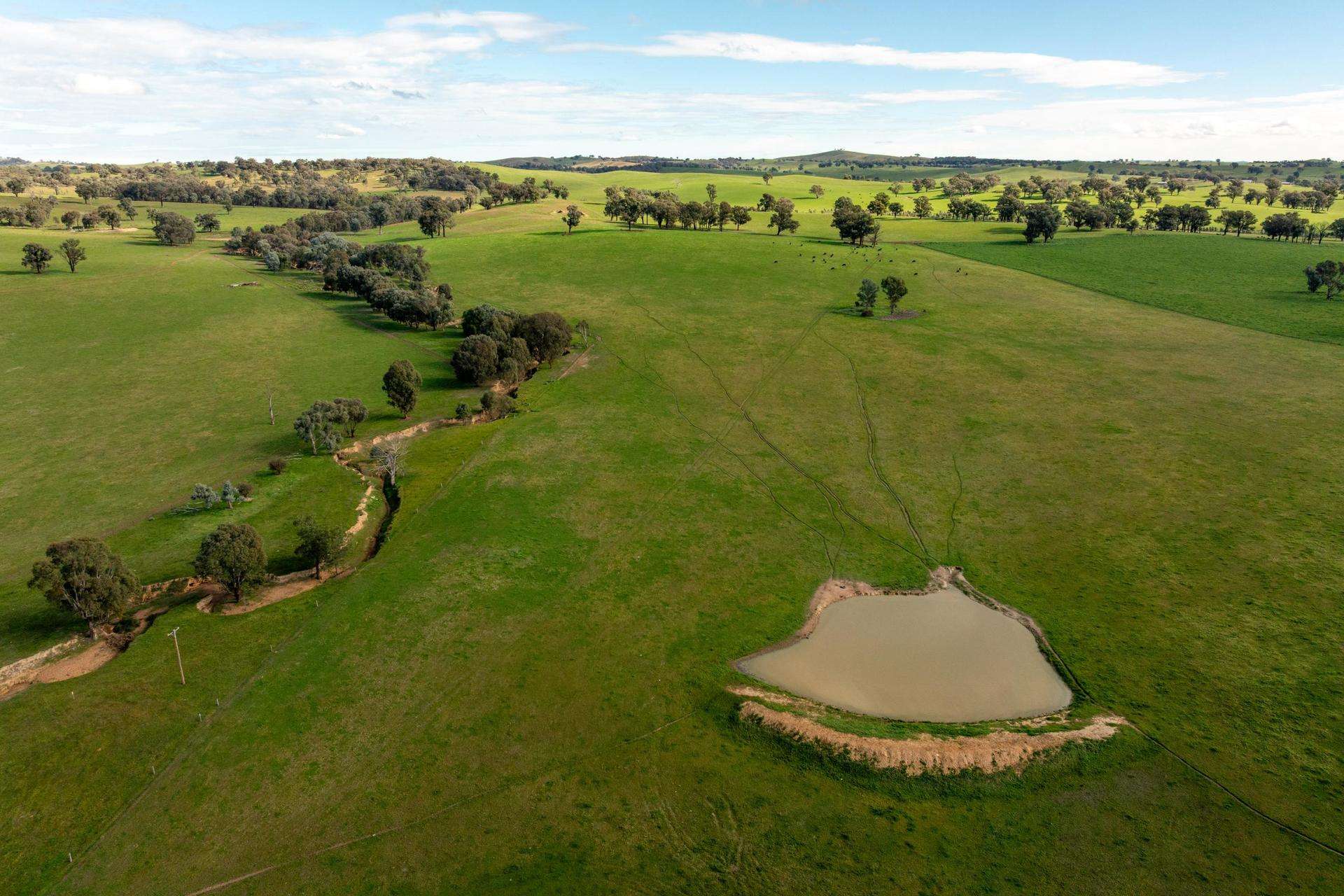 6096 Hume Highway, Kyeamba For Sale by Farmbuy.com - image 11