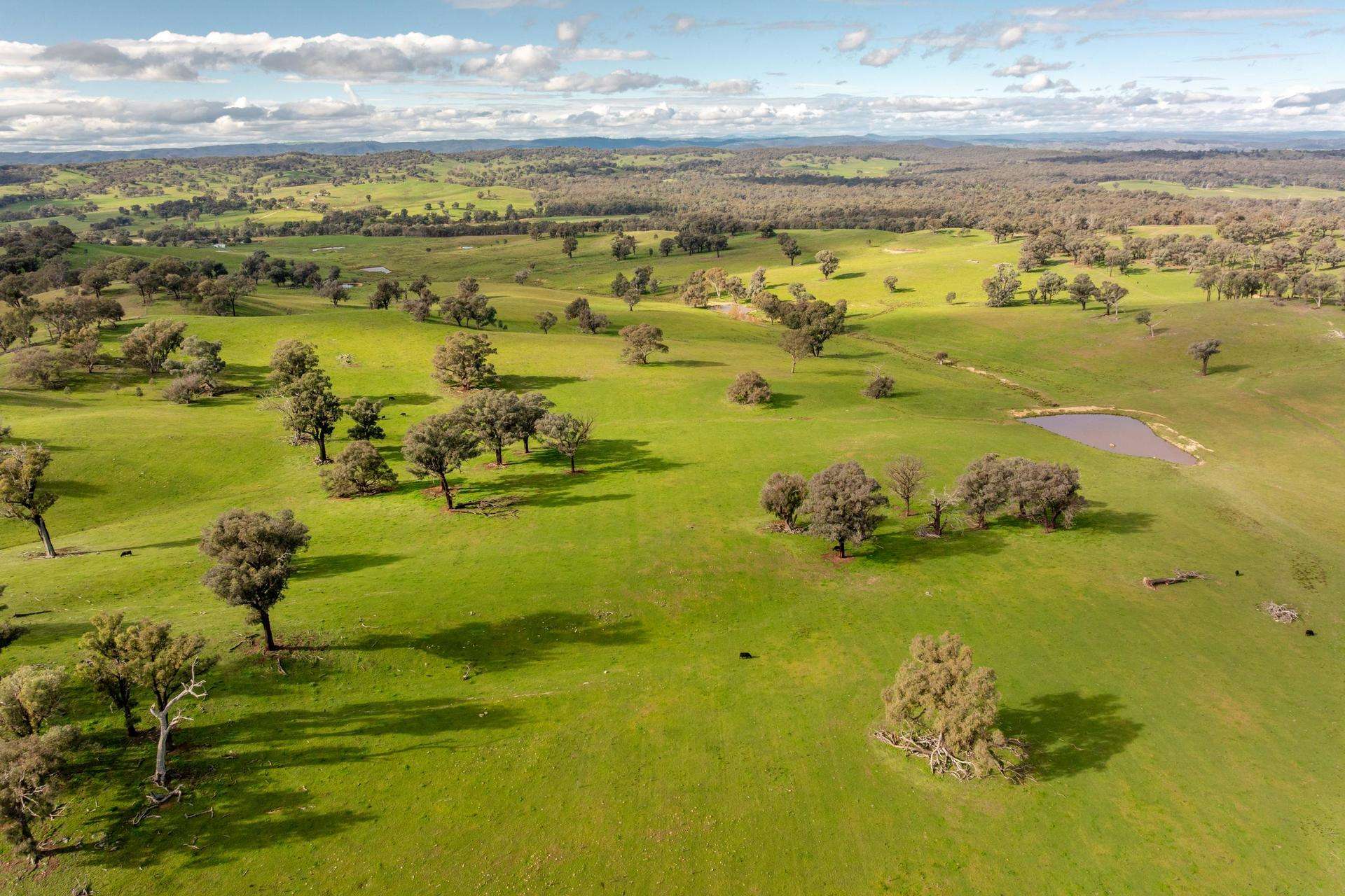 6096 Hume Highway, Kyeamba For Sale by Farmbuy.com - image 2