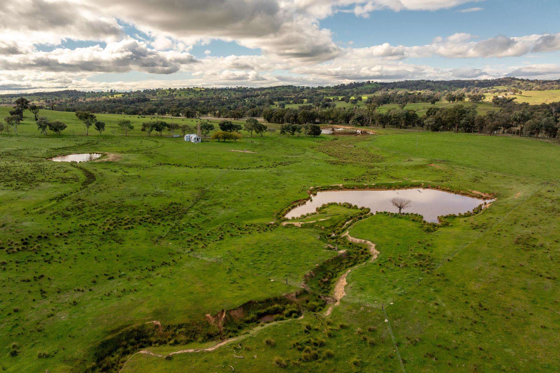 6096 Hume Highway, Kyeamba For Sale by Farmbuy.com - image 8