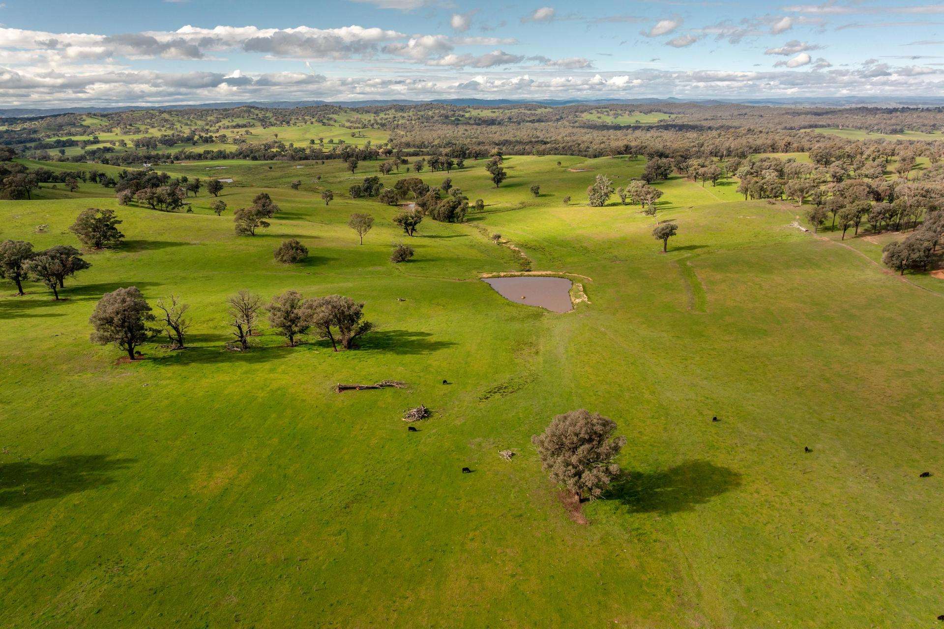 6096 Hume Highway, Kyeamba For Sale by Farmbuy.com - image 1