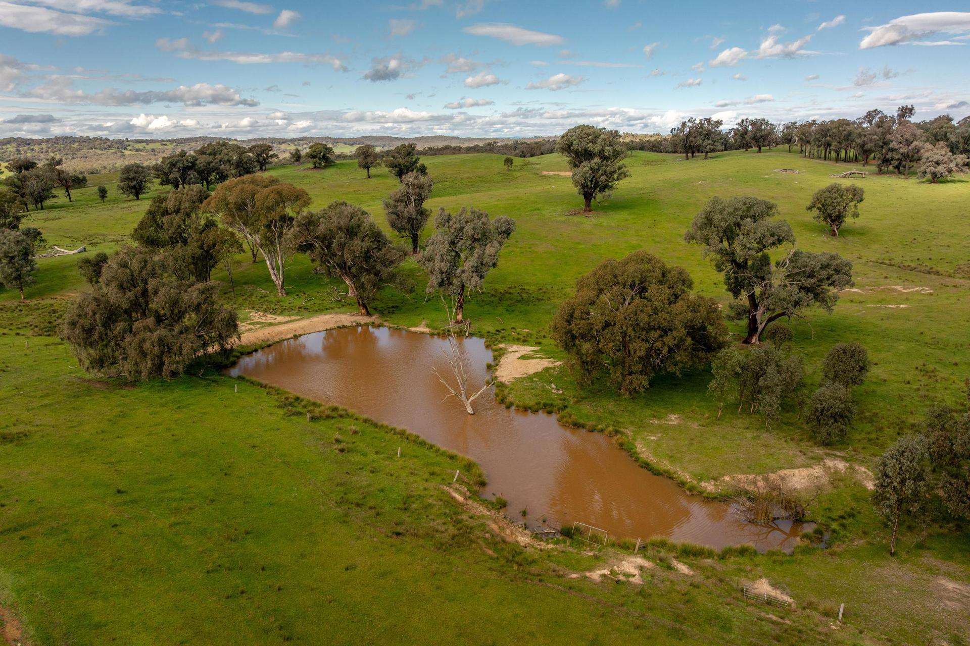 6096 Hume Highway, Kyeamba For Sale by Farmbuy.com - image 5