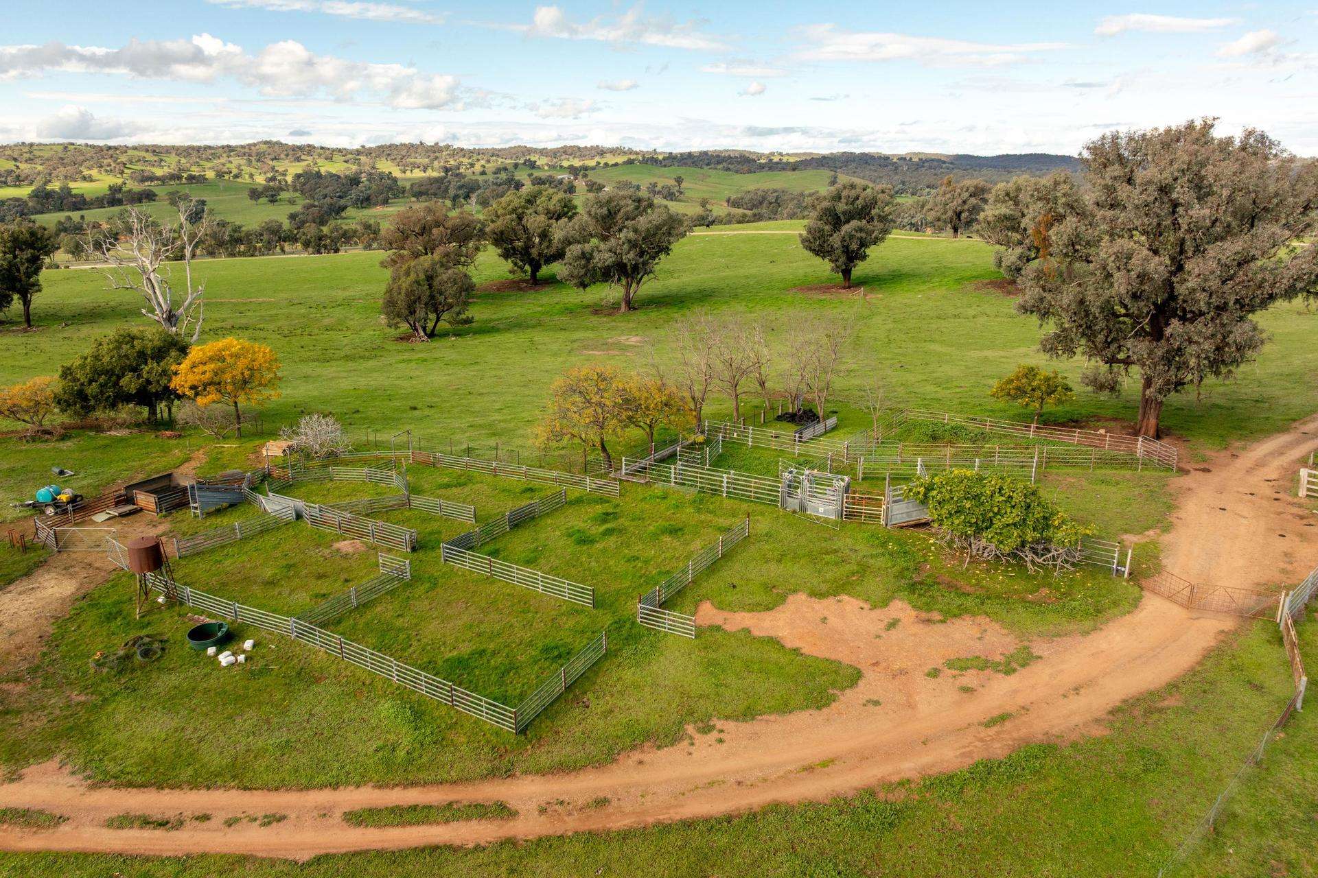 6096 Hume Highway, Kyeamba For Sale by Farmbuy.com - image 4