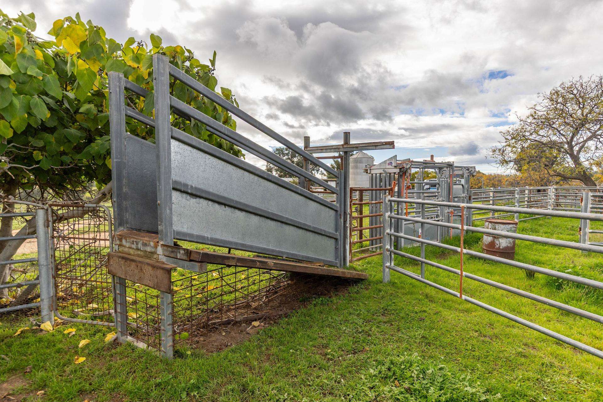 6096 Hume Highway, Kyeamba For Sale by Farmbuy.com - image 10