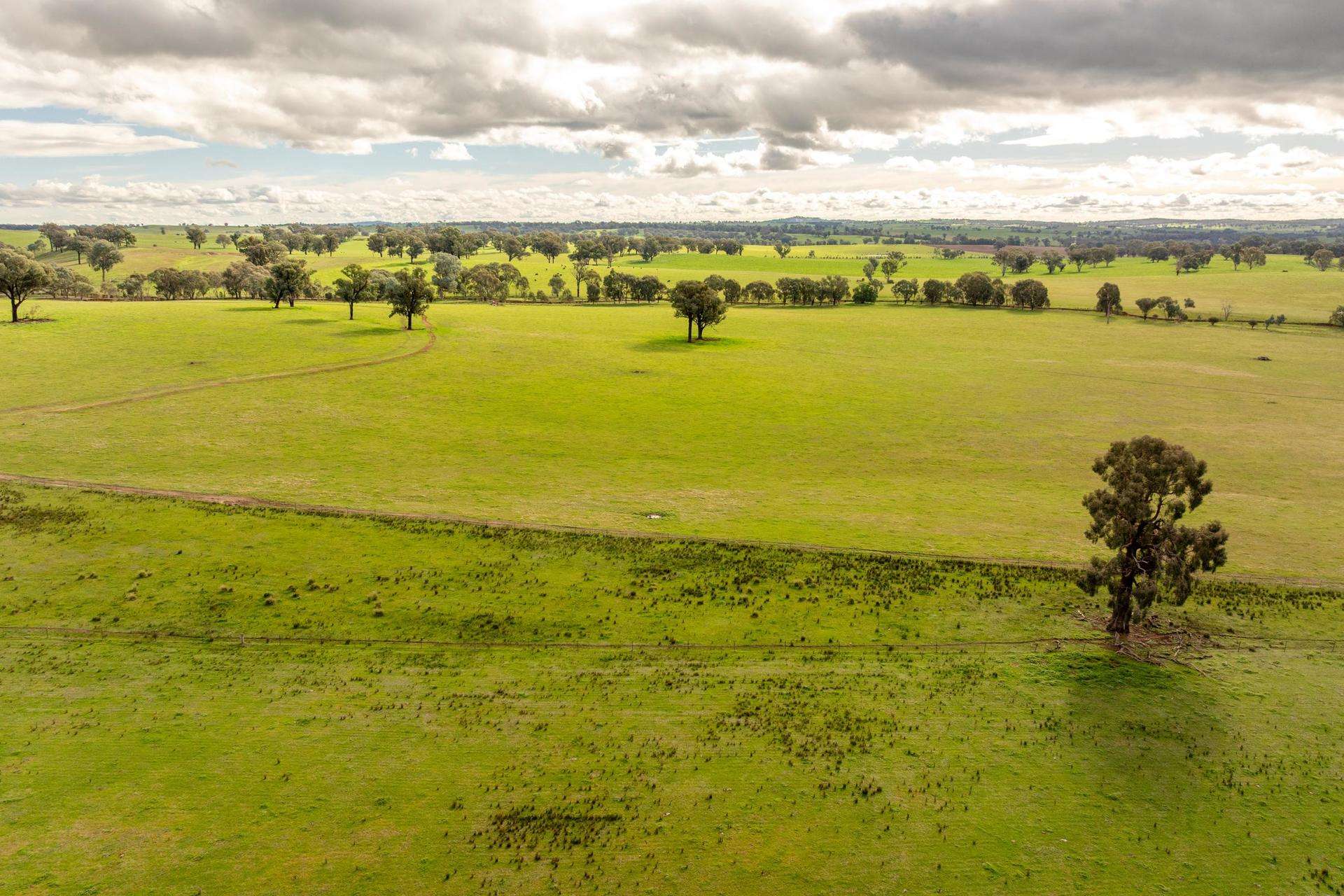 6096 Hume Highway, Kyeamba For Sale by Farmbuy.com - image 12