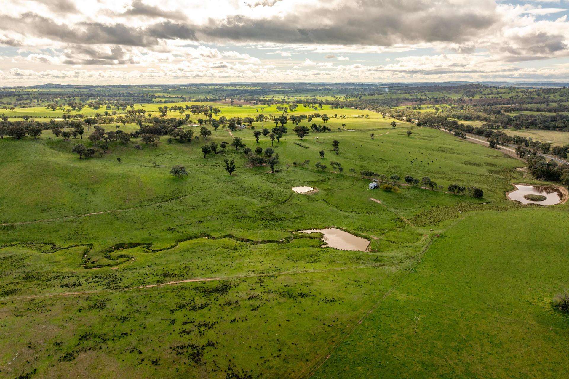 6096 Hume Highway, Kyeamba For Sale by Farmbuy.com - image 9