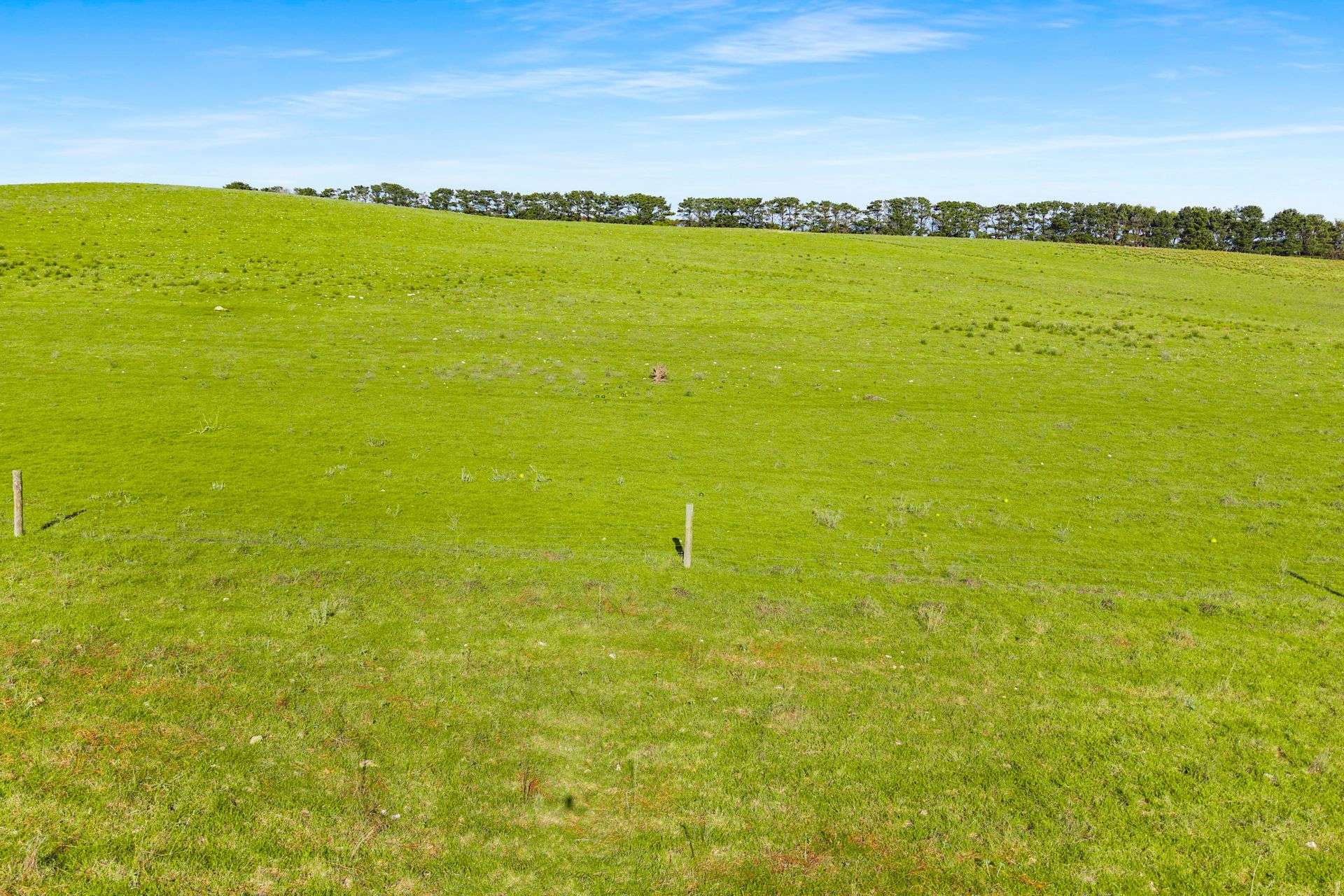Lot 102 Wrights Bay Road, Mount Benson For Sale by Farmbuy.com - image 6
