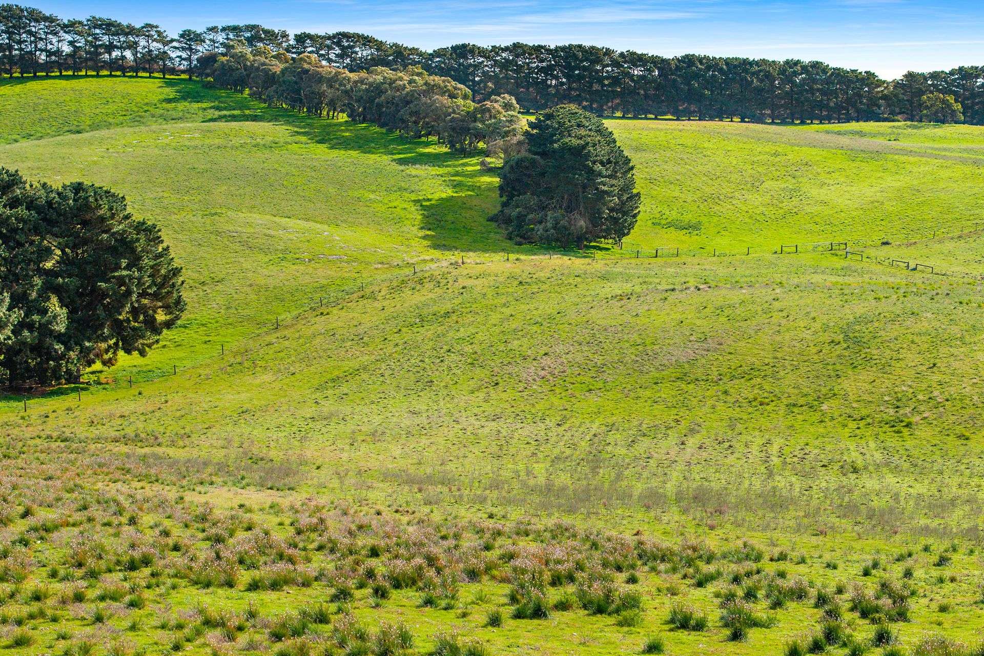 Lot 102 Wrights Bay Road, Mount Benson For Sale by Farmbuy.com - image 12