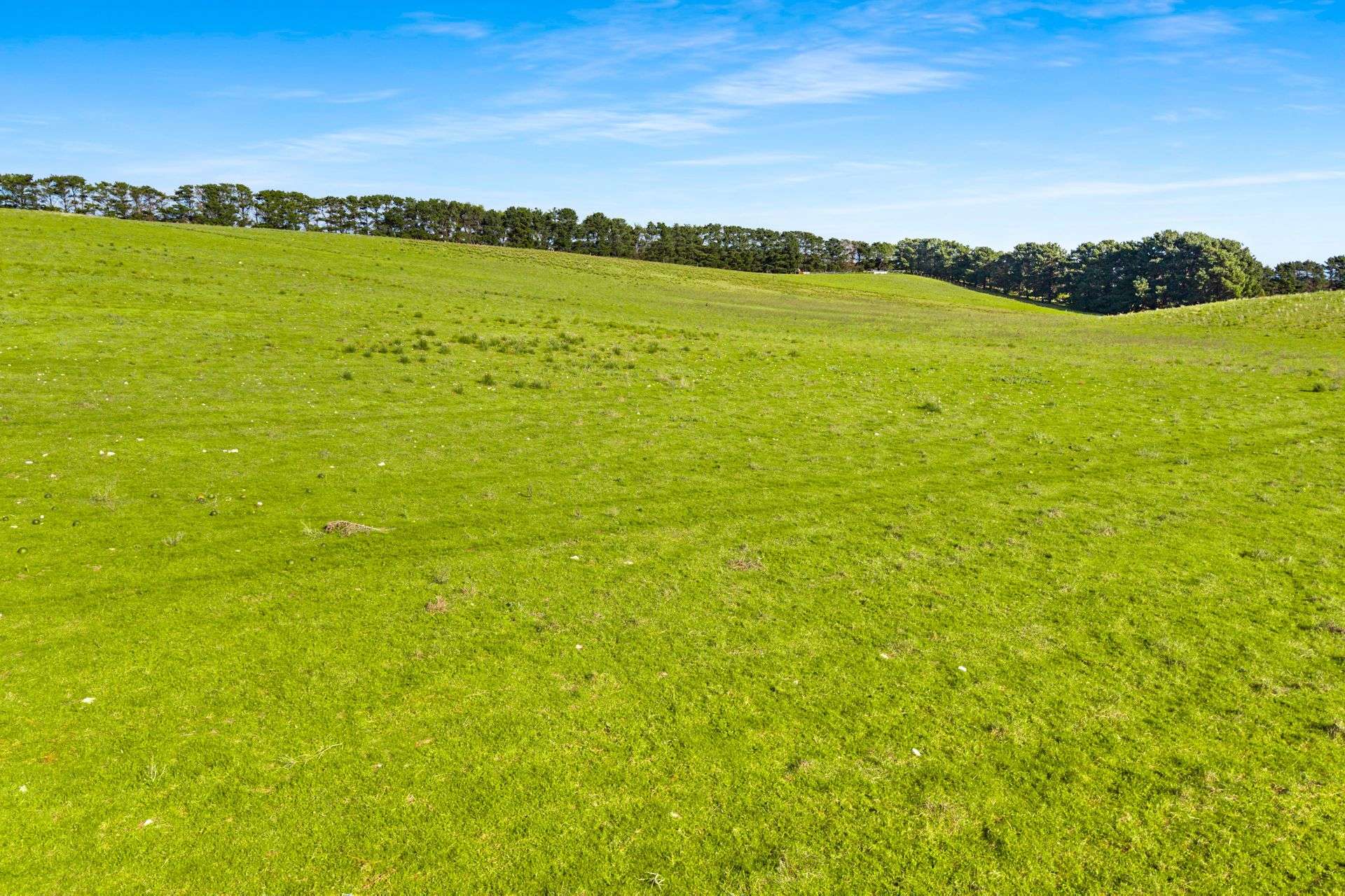 Lot 102 Wrights Bay Road, Mount Benson For Sale by Farmbuy.com - image 15