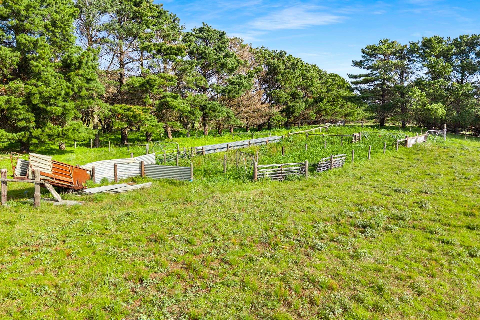 Lot 102 Wrights Bay Road, Mount Benson For Sale by Farmbuy.com - image 9