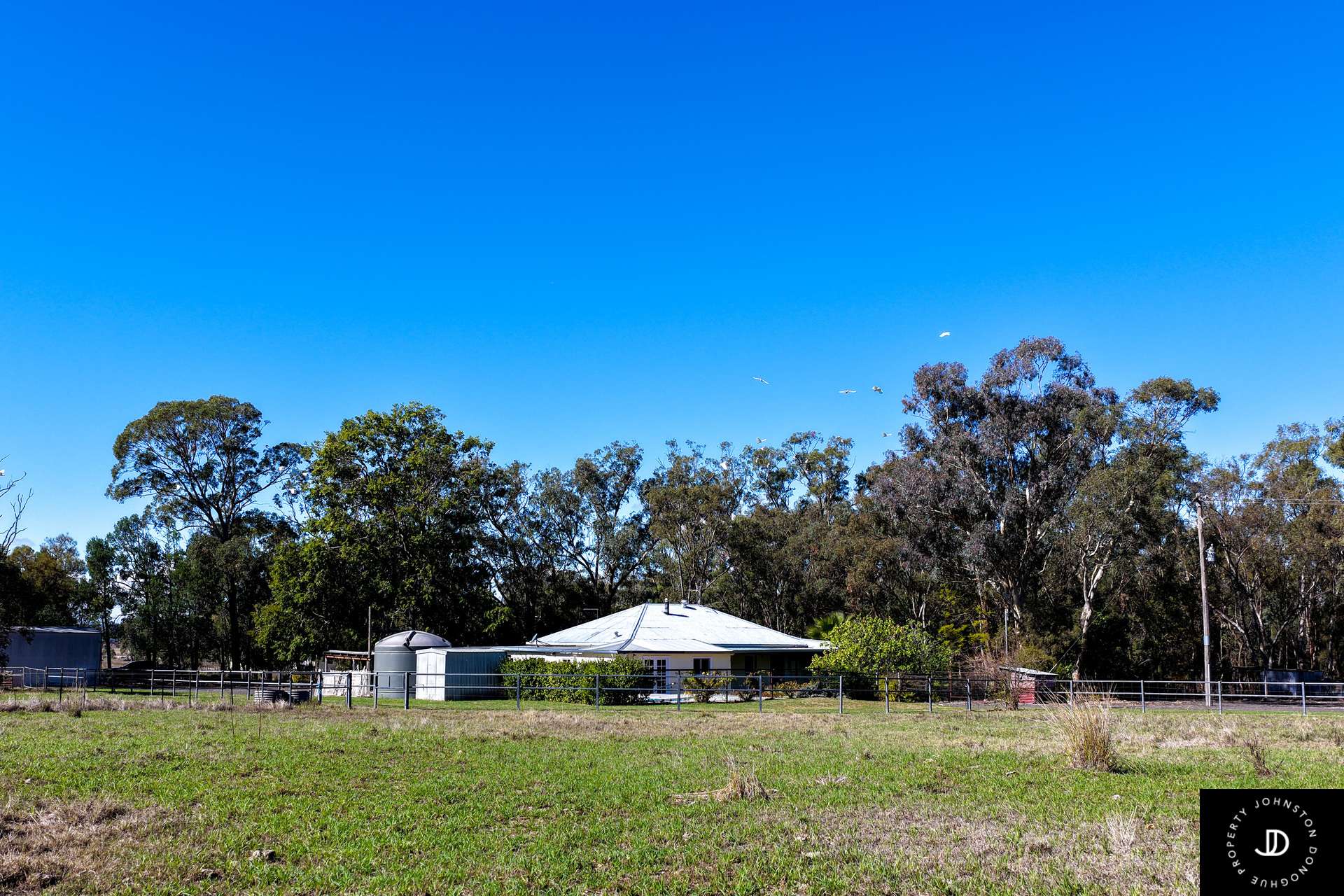 5154 Coonabarabran Road, Colly Blue For Sale by Farmbuy.com - image 20