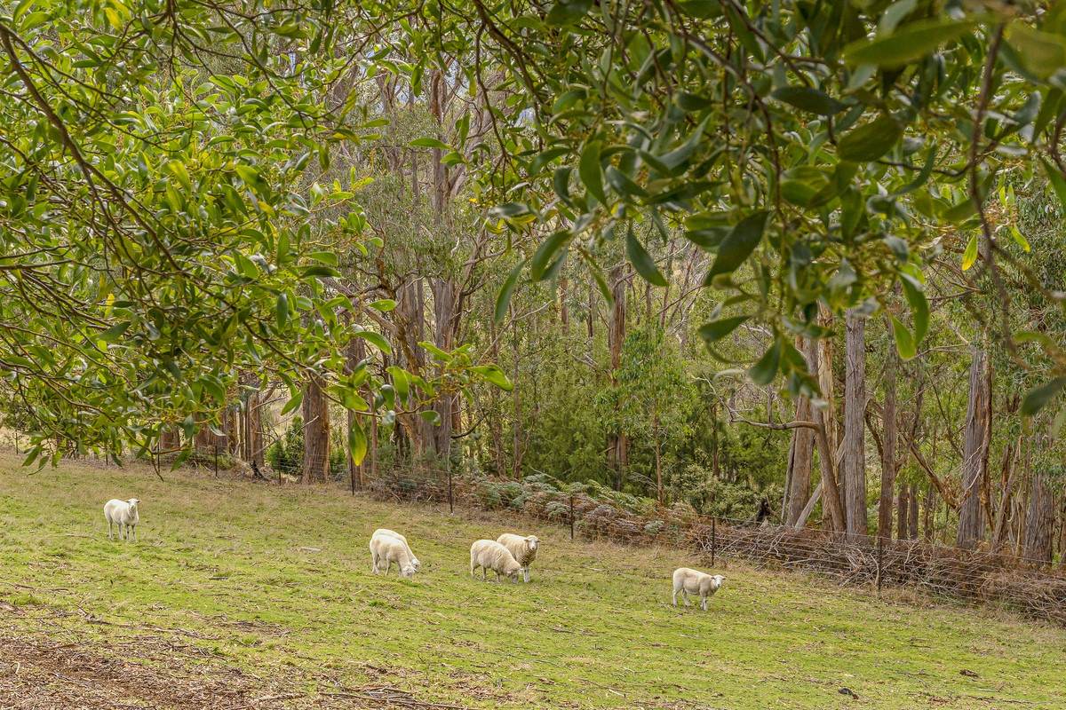 5 Stubbings Road, Grove For Sale by Farmbuy.com - image 31