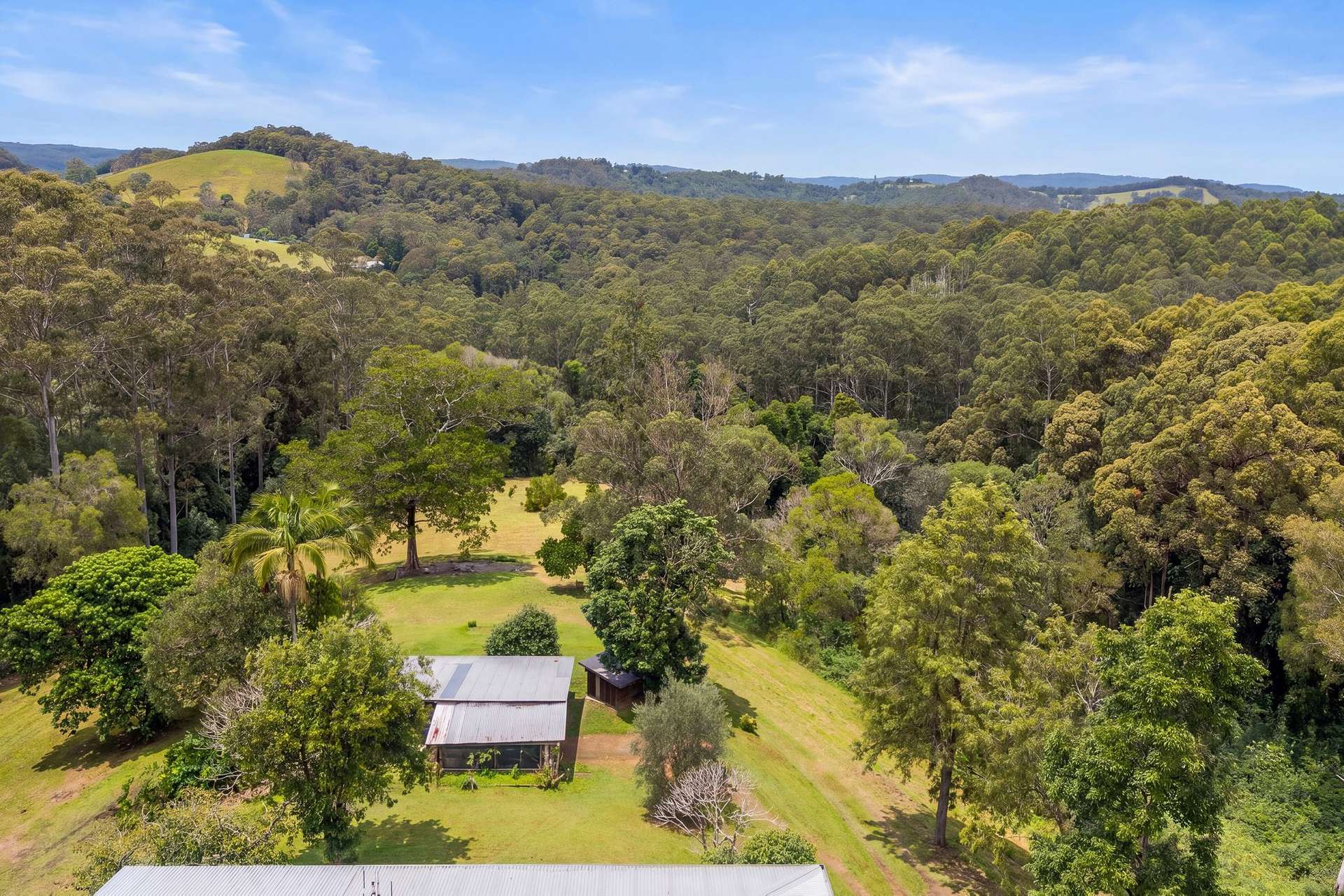 315 Top Forestry Road, Ridgewood For Sale by Farmbuy.com - image 26
