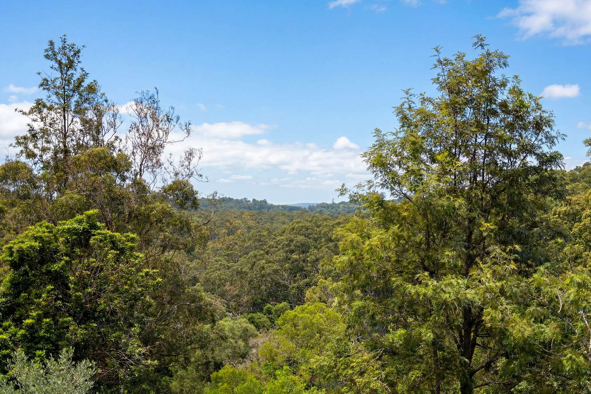 315 Top Forestry Road, Ridgewood For Sale by Farmbuy.com - image 19