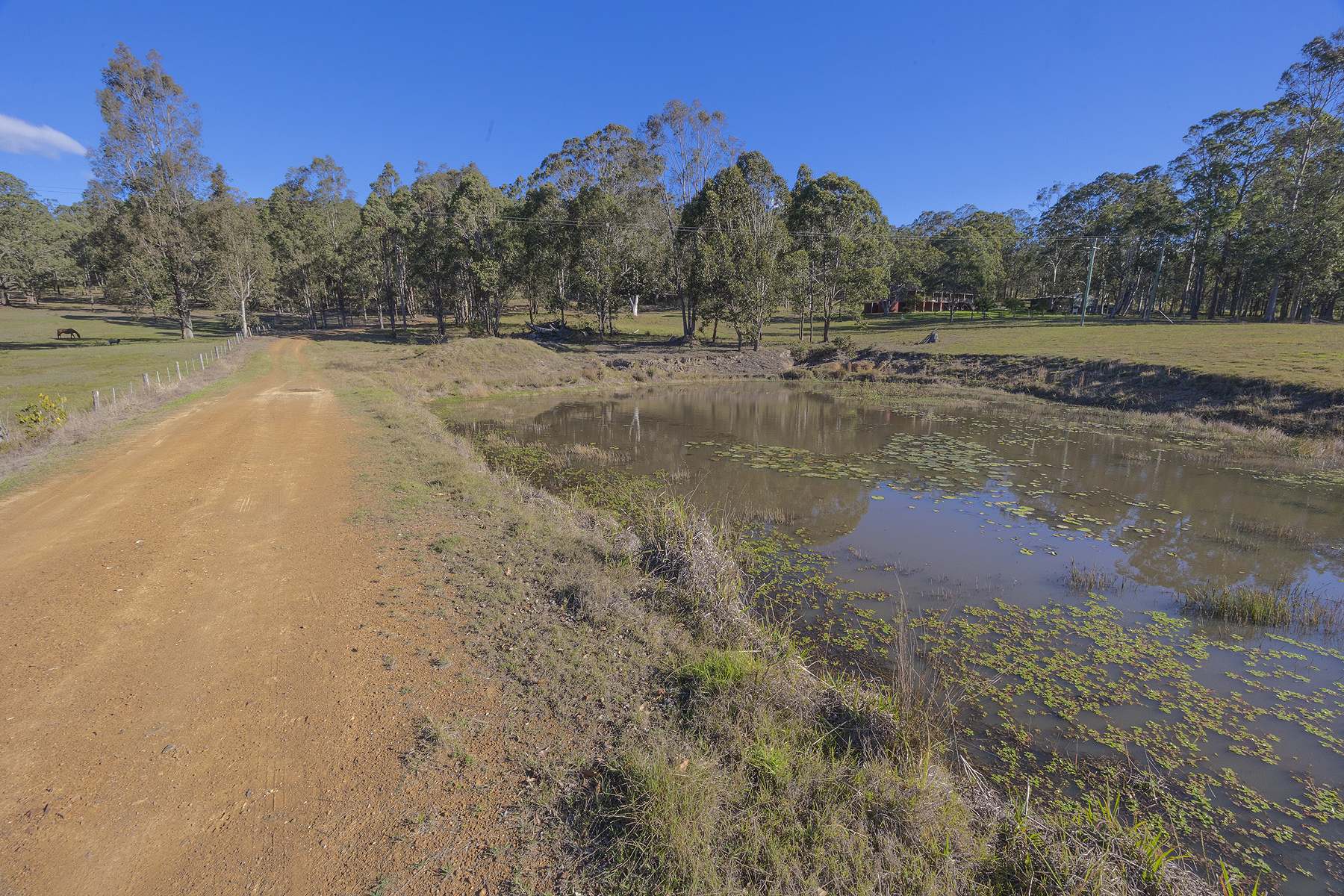 160 Milligans Lane, Firefly For Sale by Farmbuy.com - image 32