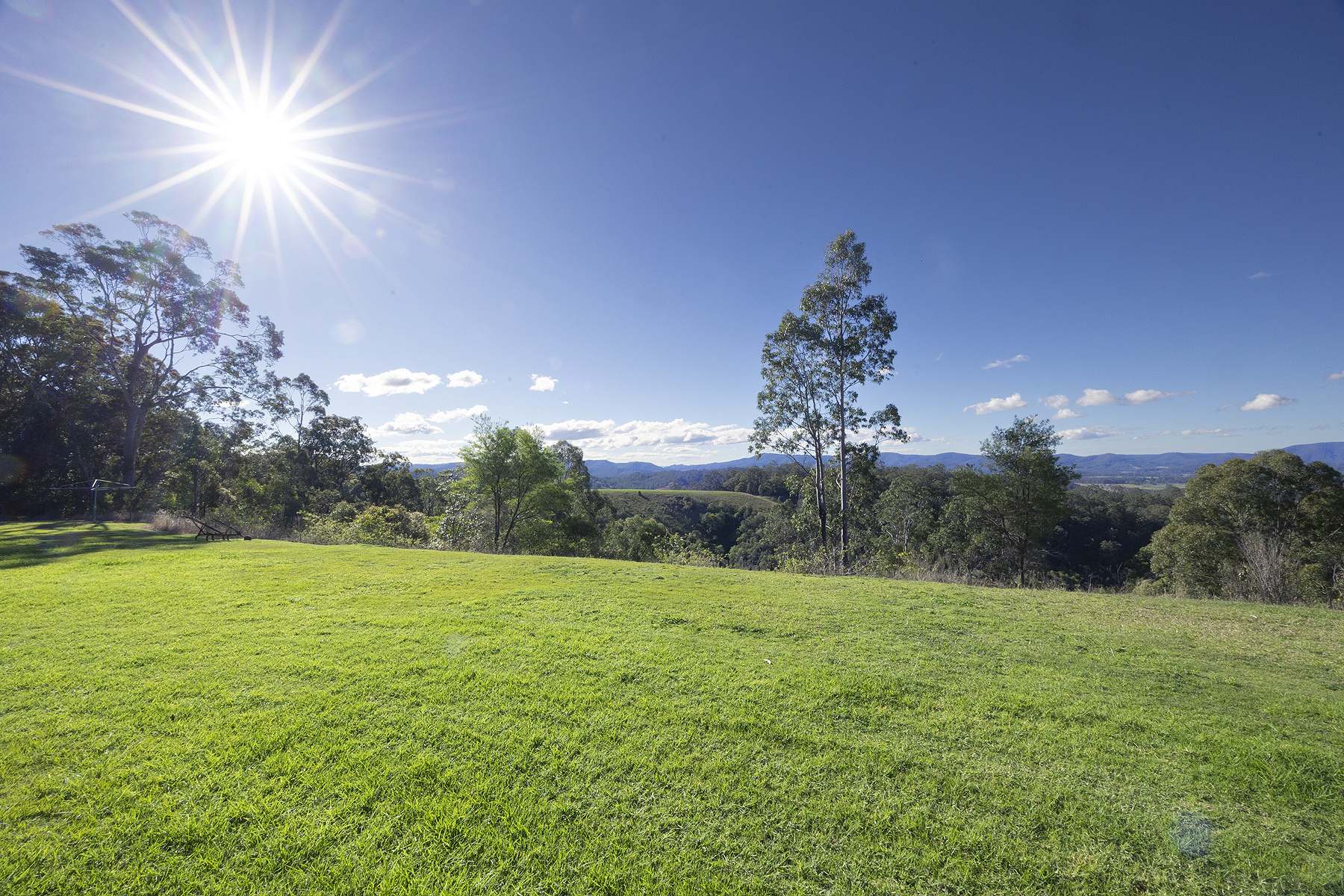 160 Milligans Lane, Firefly For Sale by Farmbuy.com - image 24