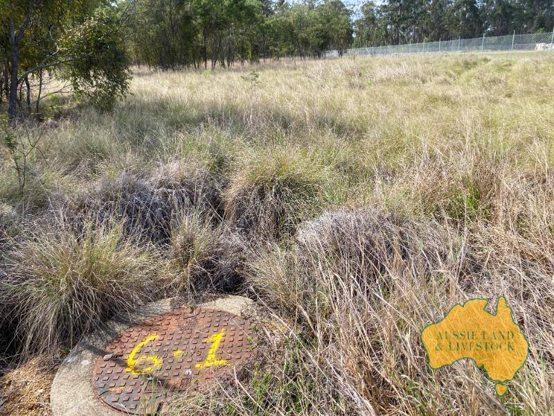 64-66 BURROWS STREET, Wondai For Sale by Farmbuy.com - image 13
