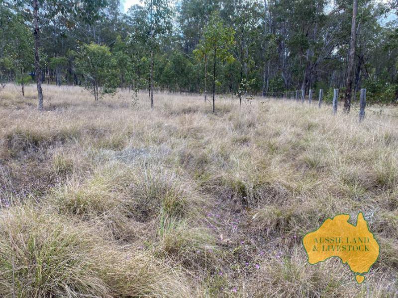 64-66 BURROWS STREET, Wondai For Sale by Farmbuy.com - image 11
